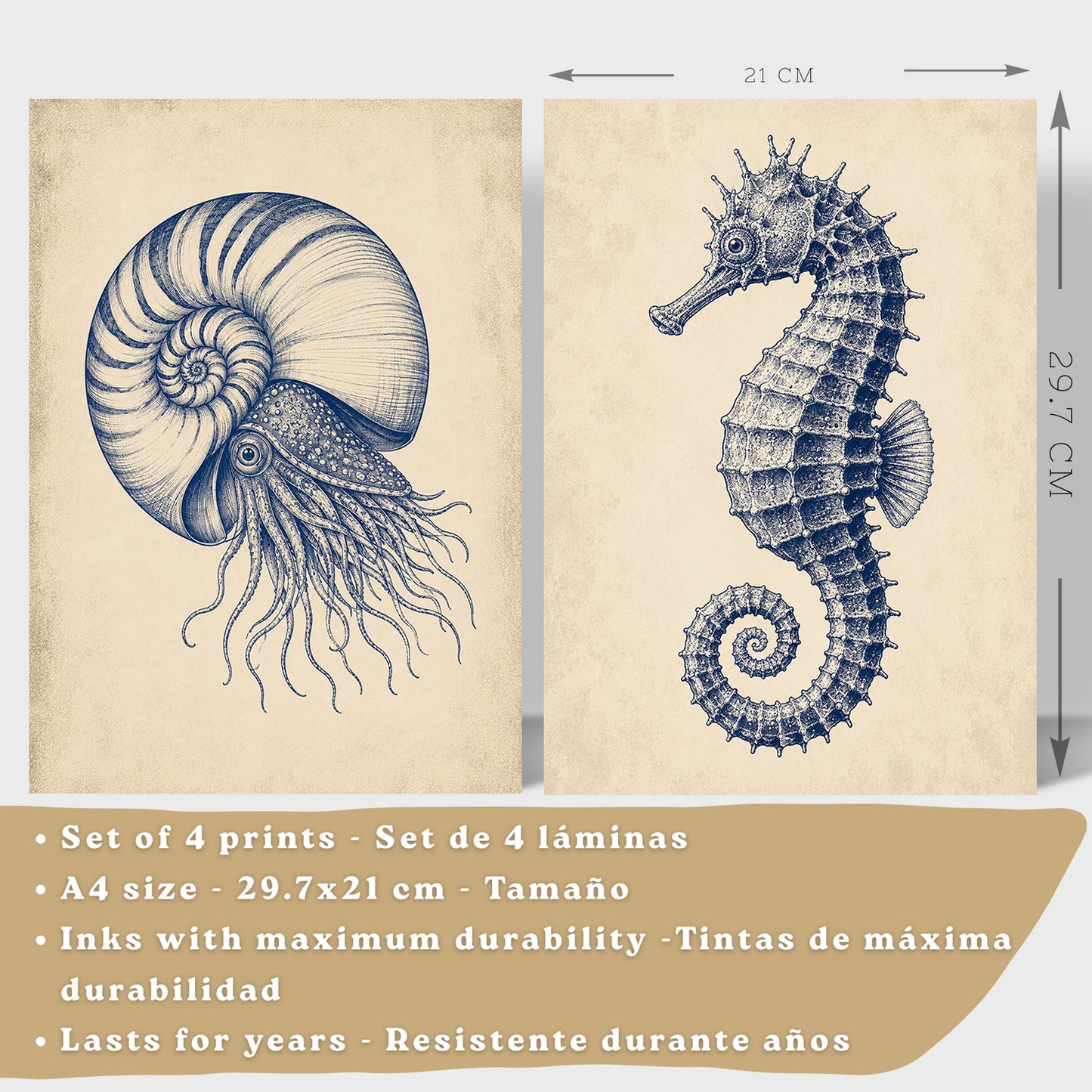 Posters de Costero con Nautilus Caballito de Mar y Estrella de Mar