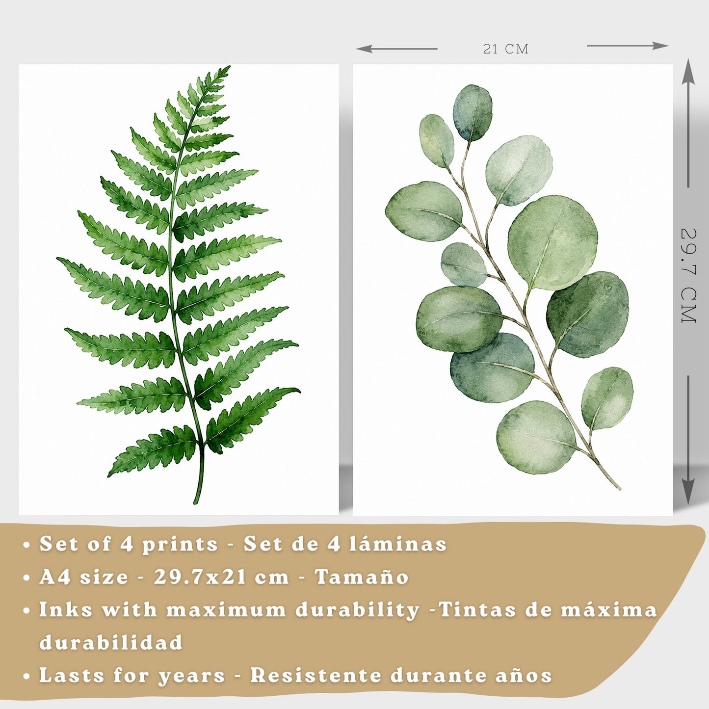 Posters Botánicos Tropicales con Helecho, Monstera y Eucalipto