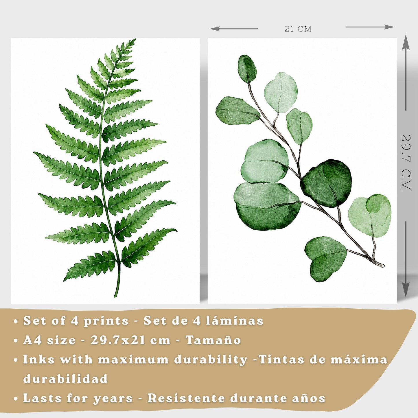 Posters Tropicales con Monstera, Eucalipto y Arte de Hojas de Palma