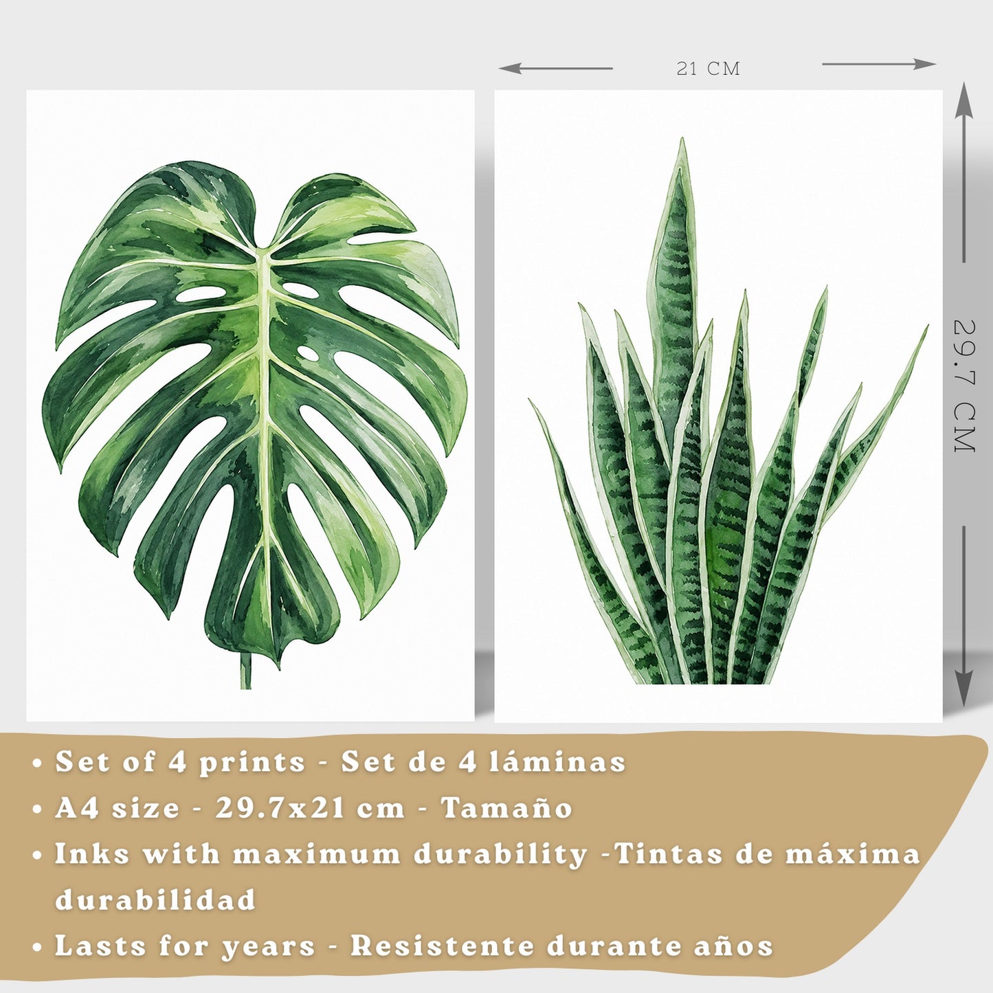 Posters Tropicales con Monstera, Sansevieria y Hojas de Plátano