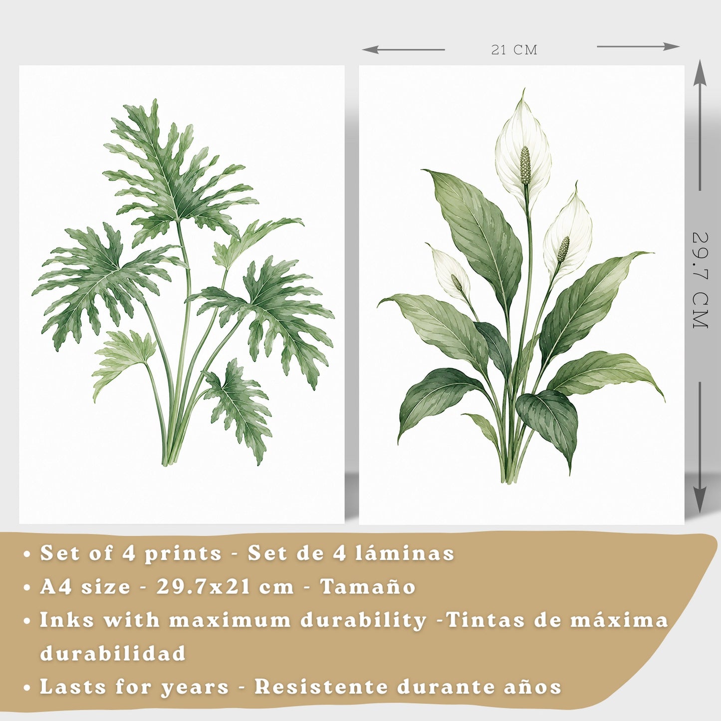 Posters Tropicales con Monstera, Sansevieria y Lirio de la Paz