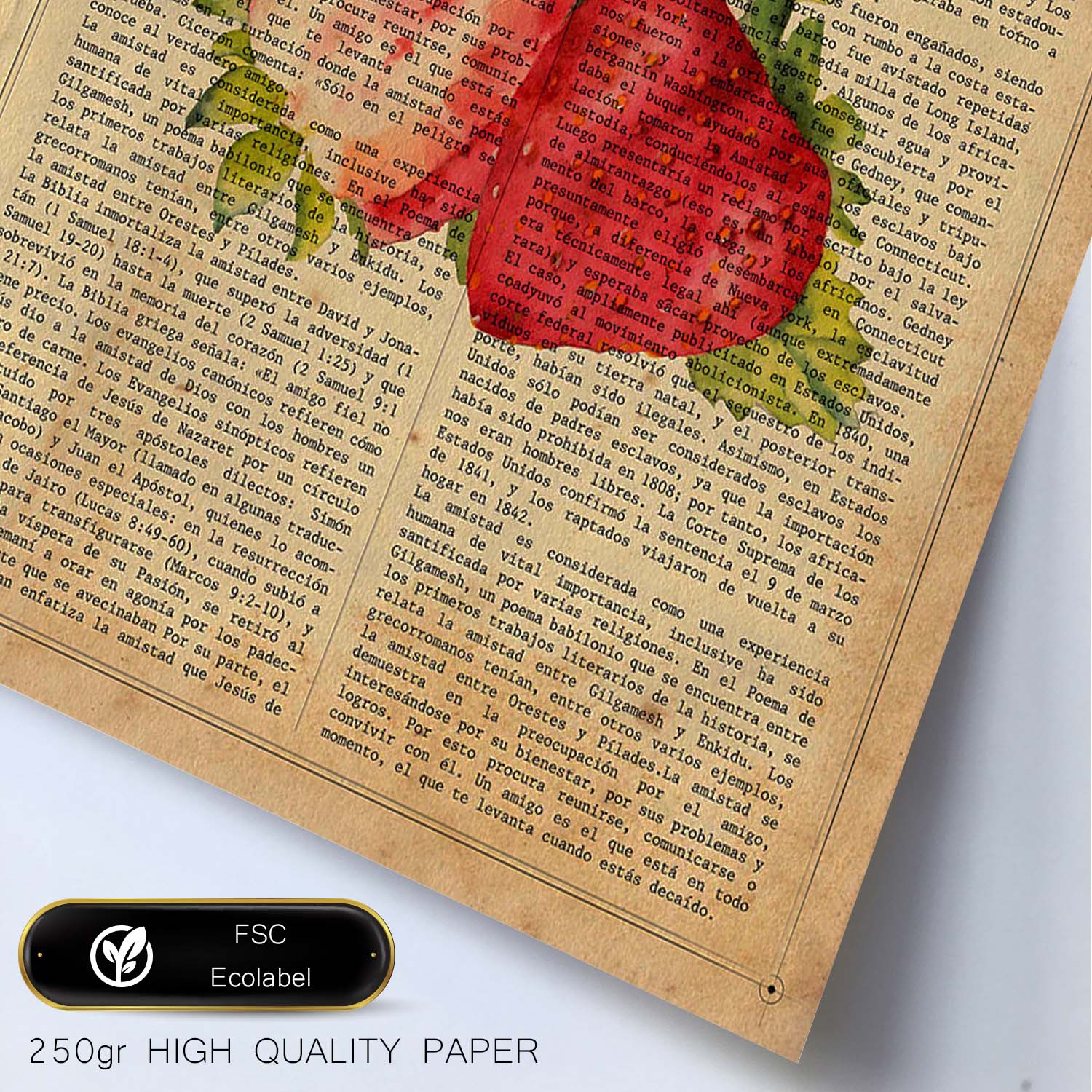 Posters de frutas con texto. Lámina Fresa Abierta con imágenes de alimentación saludable con definiciones.-Artwork-Nacnic-Nacnic Estudio SL