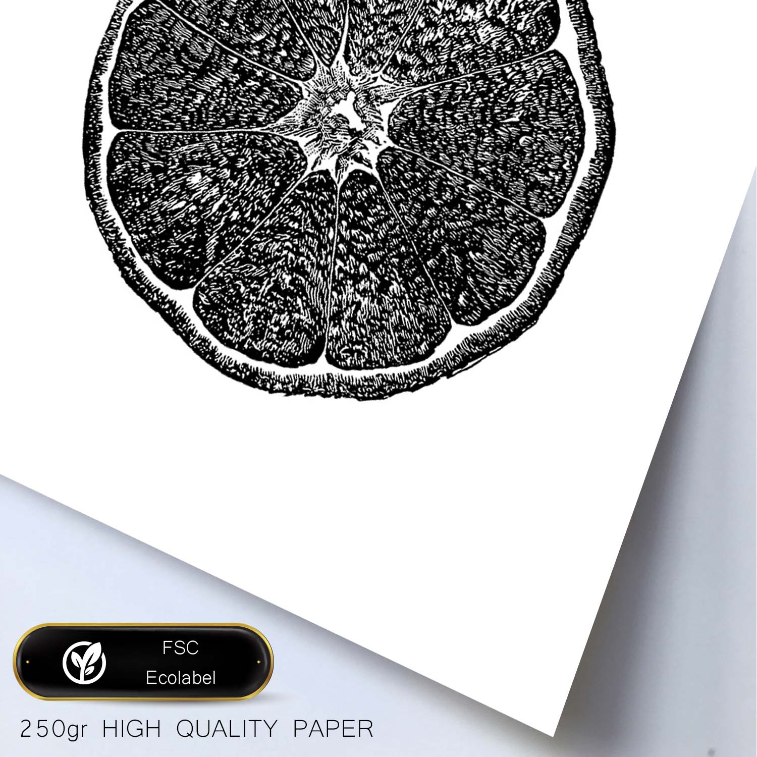 Poster de Orange. Láminas de frutas y verduras en inglés.-Artwork-Nacnic-Nacnic Estudio SL