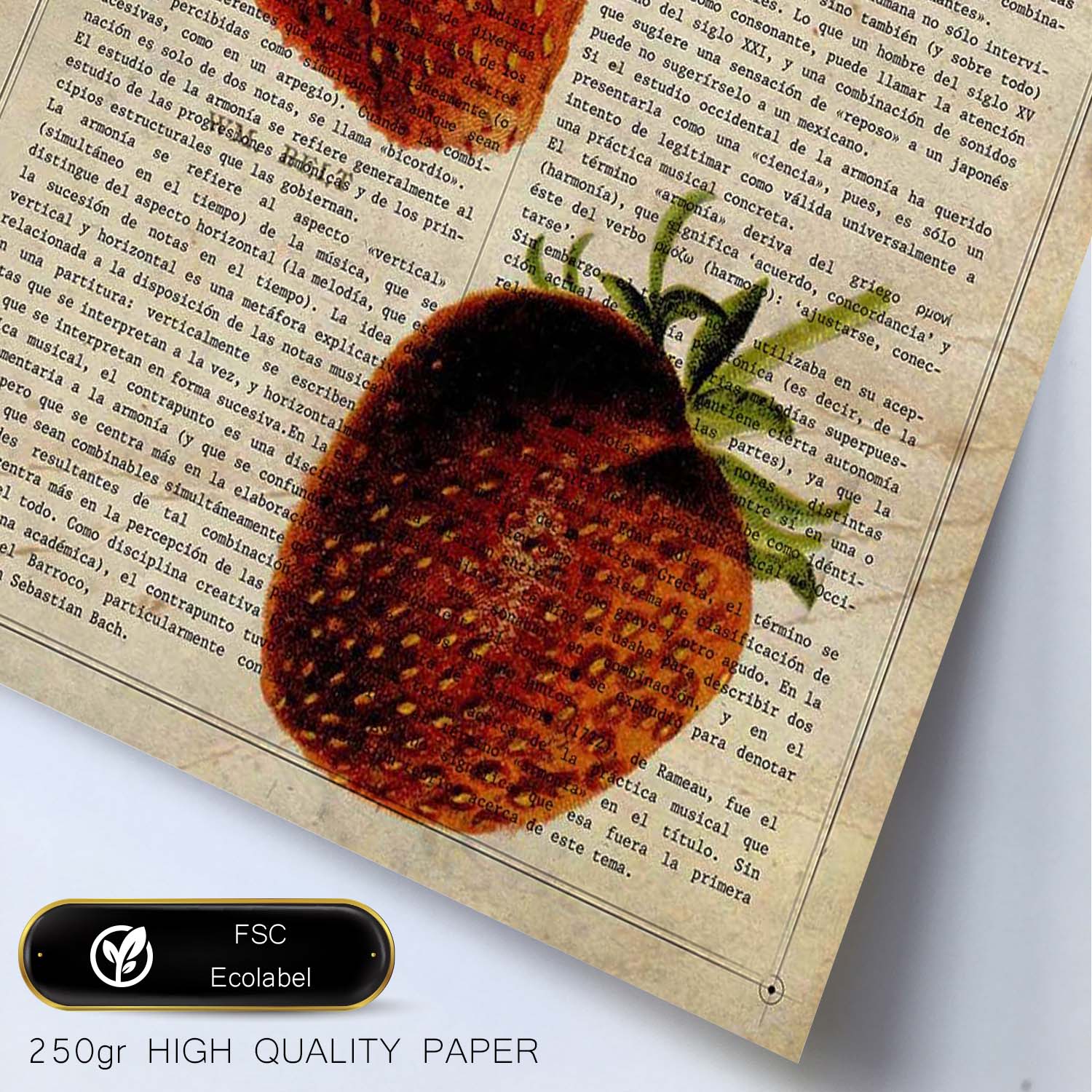 Poster de Fresones. Láminas de frutas y verduras con definiciones. Ilustraciones de alimentacion vegetariana.-Artwork-Nacnic-Nacnic Estudio SL