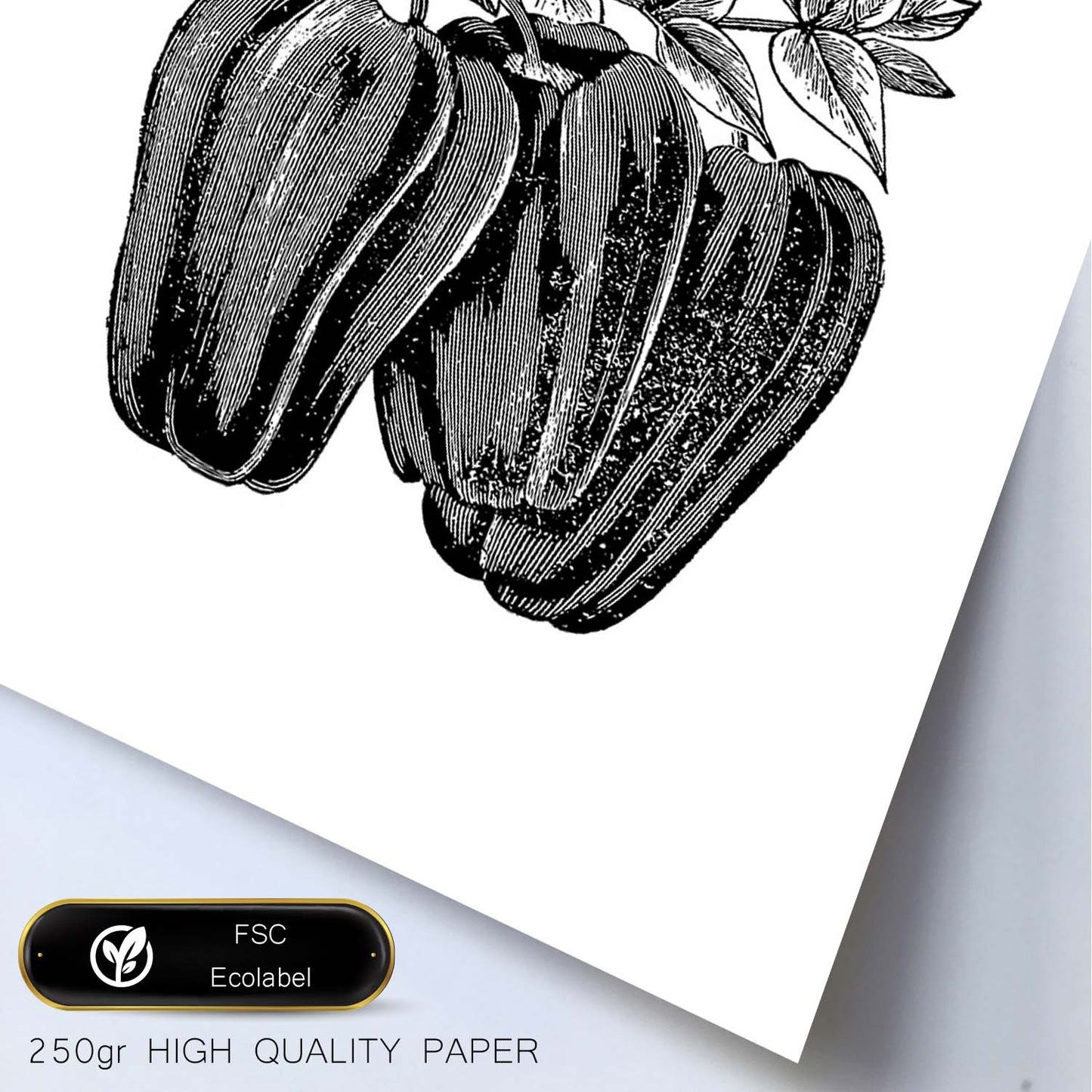 Poster de Pepper. Láminas de frutas y verduras en inglés.-Artwork-Nacnic-Nacnic Estudio SL
