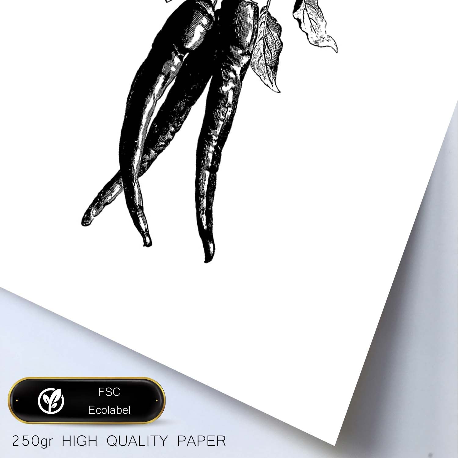 Poster de Chili peppers. Láminas de frutas y verduras en inglés.-Artwork-Nacnic-Nacnic Estudio SL