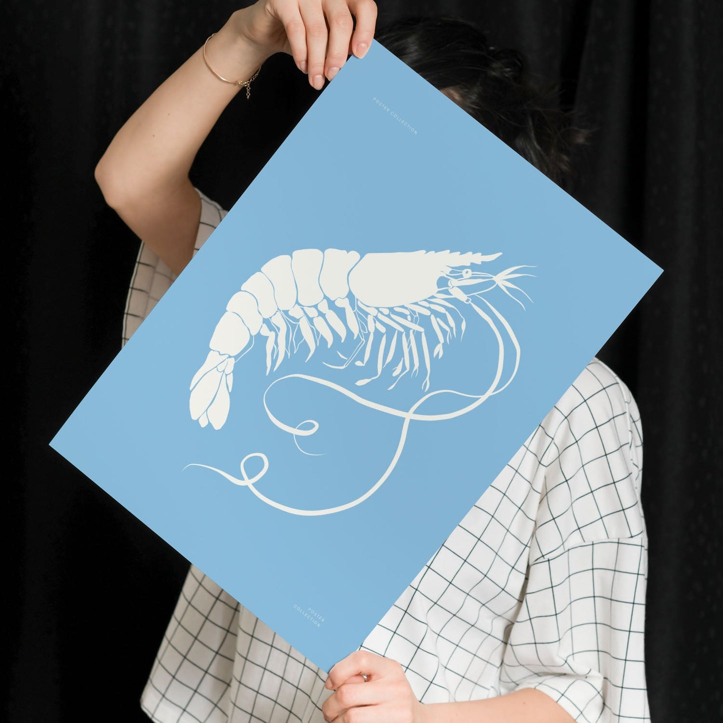 Prawn-Artwork-Nacnic-Nacnic Estudio SL