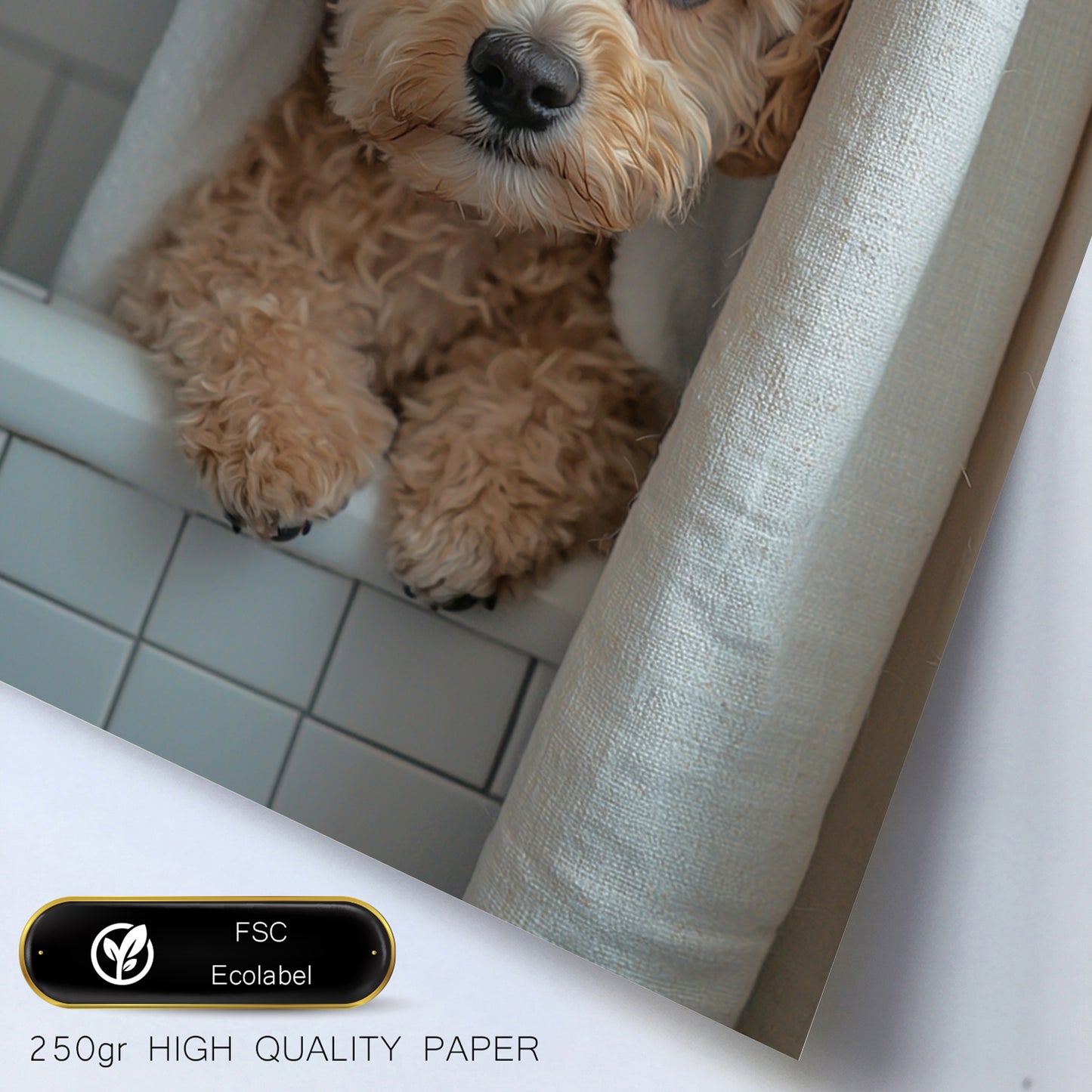 Set de 2 Cuadros Coloridos de Perro en la Ducha, Ilustración de Baño de Cachorros en Estilo Fotográfico, Lindos Animales para Decorar, Arte de Pared para Inodoro, Ducha, Baño, WC
