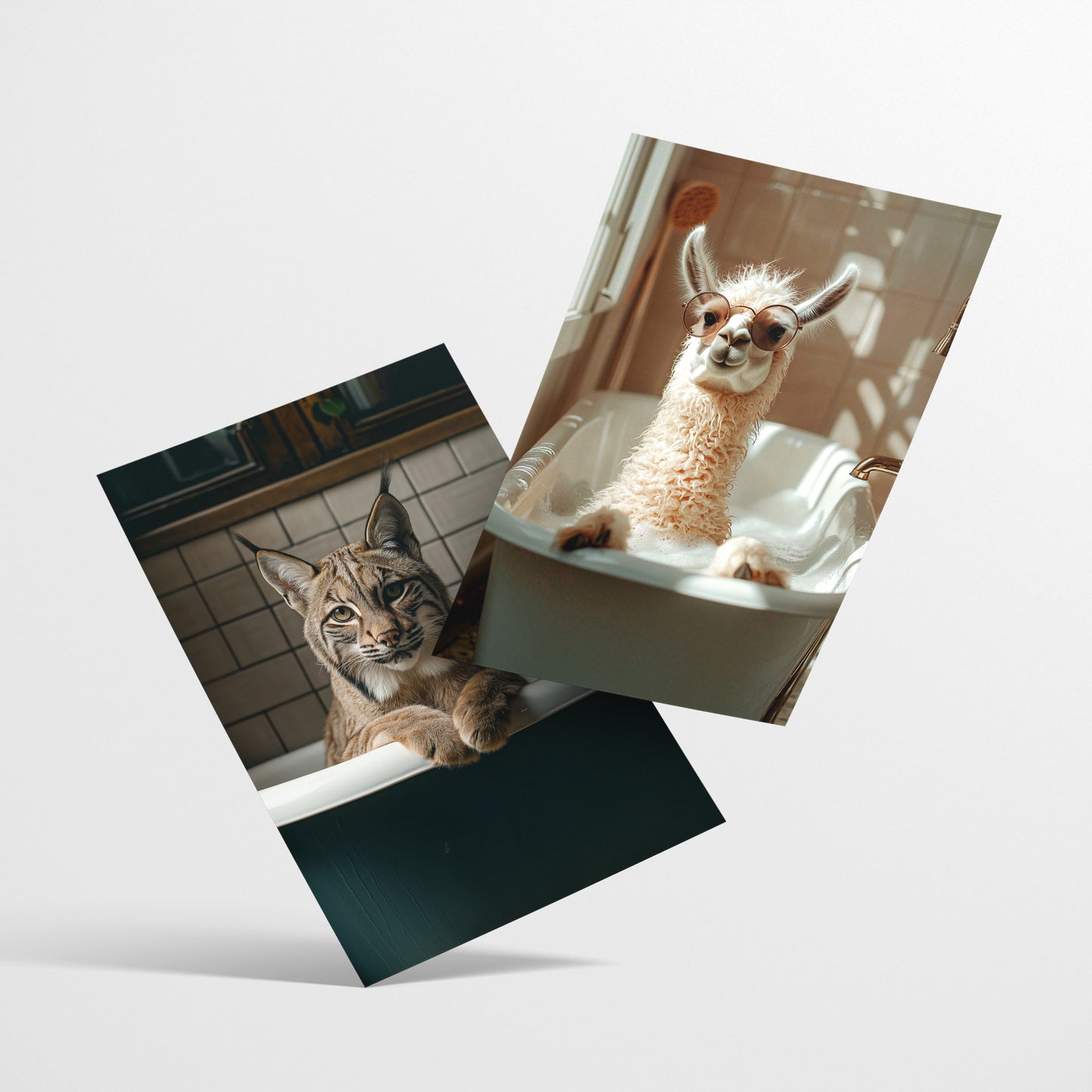 Set de 3 Cuadros de Animales Salvajes en la Bañera, Llama, Perro, Gato Lince Ilustración impresa en estilo fotográfico para decorar las paredes del WC, Ducha, Cuarto de baño, WC