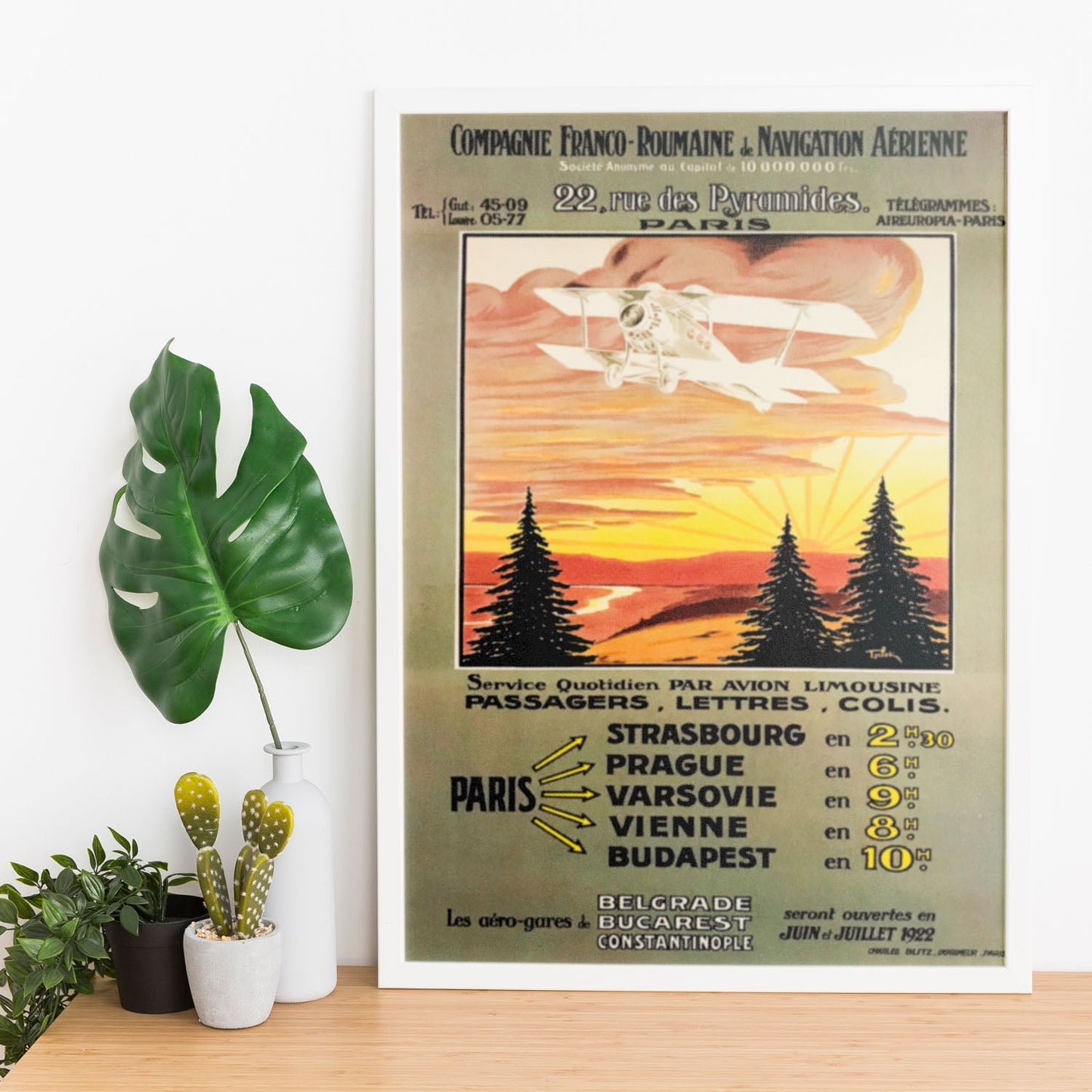 Affiche_Compagnie_Franco_Roumaine_de_navigation_aerienne-Artwork-Nacnic-Nacnic Estudio SL