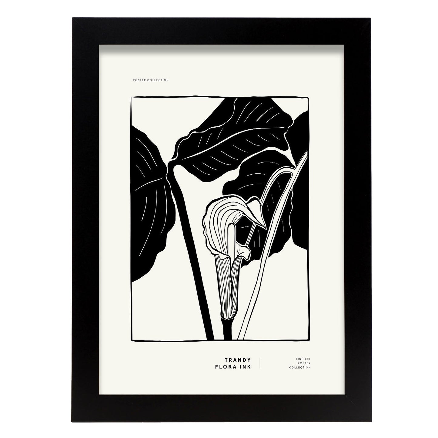 Arum Lily-Artwork-Nacnic-A4-Sin marco-Nacnic Estudio SL