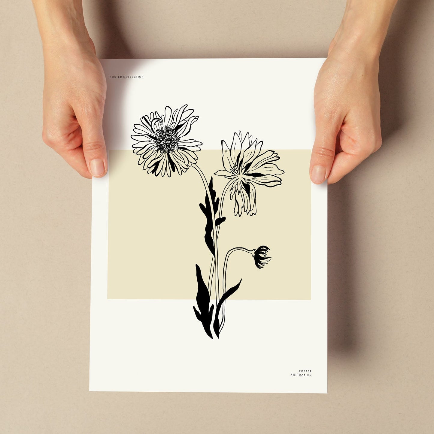 Aster-Artwork-Nacnic-Nacnic Estudio SL