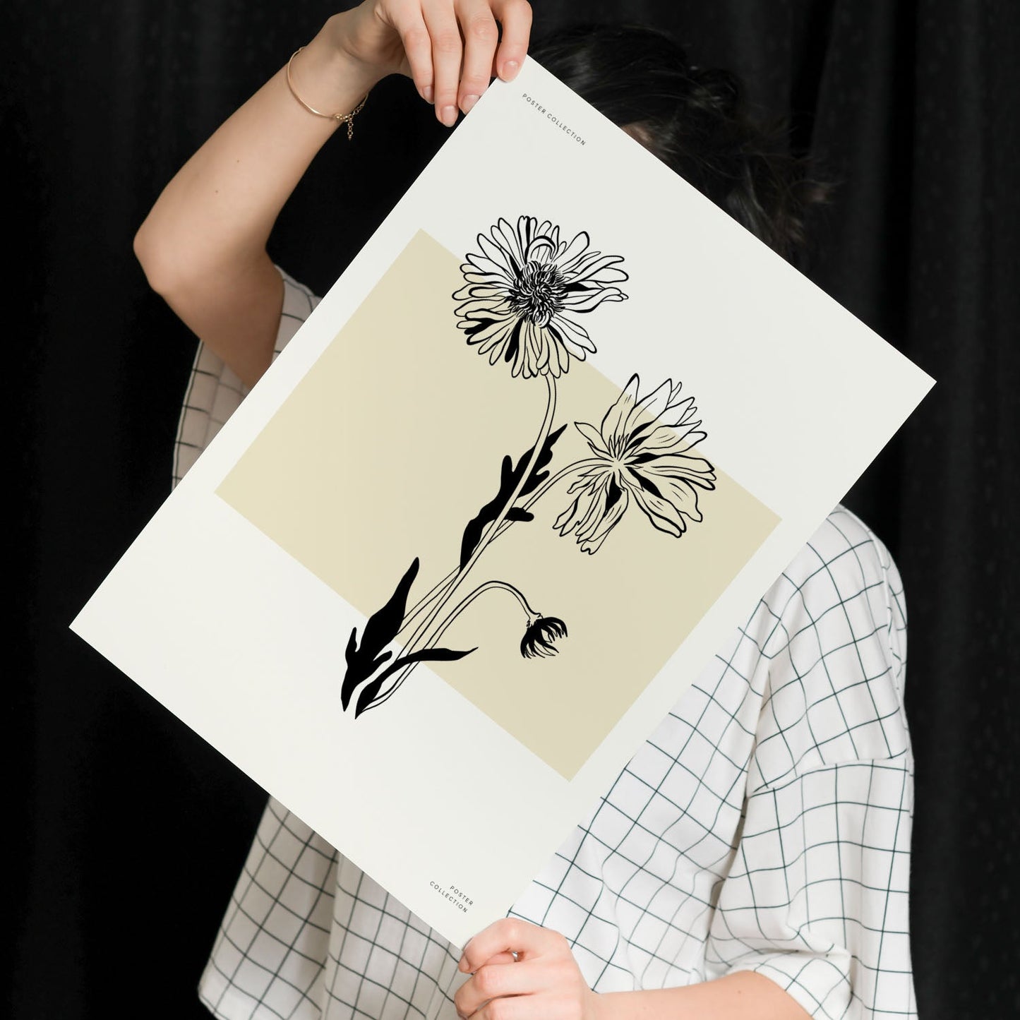 Aster-Artwork-Nacnic-Nacnic Estudio SL