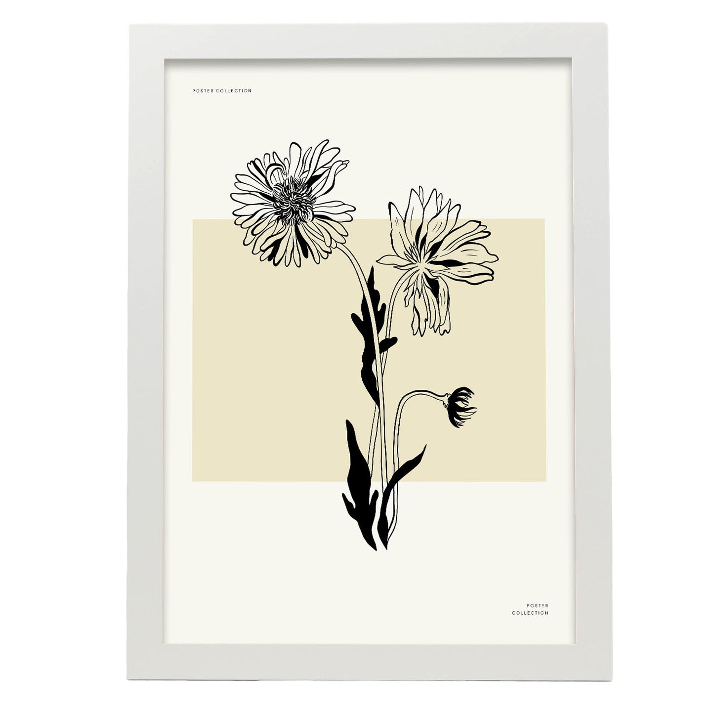 Aster-Artwork-Nacnic-A3-Marco Blanco-Nacnic Estudio SL