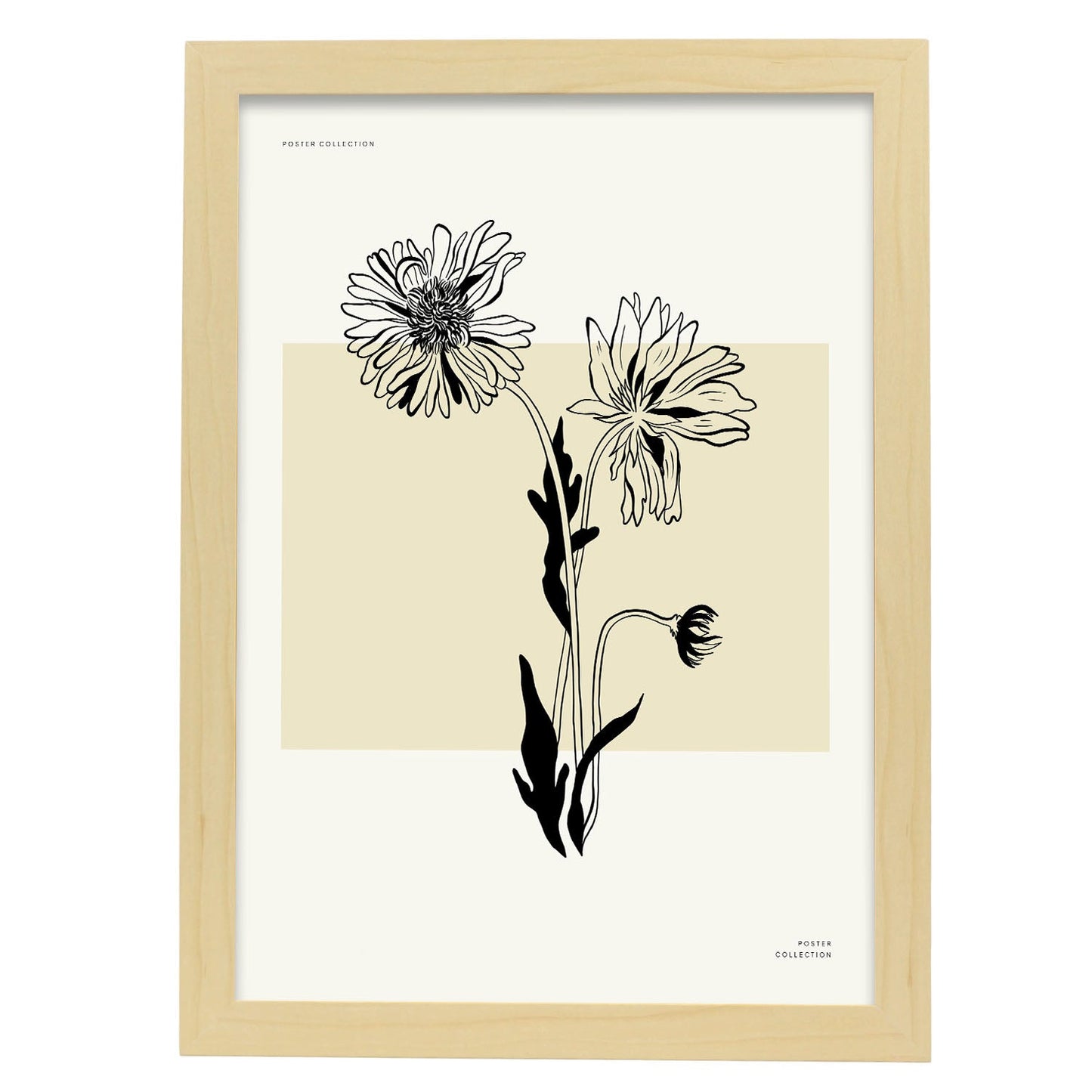 Aster-Artwork-Nacnic-A3-Marco Madera clara-Nacnic Estudio SL