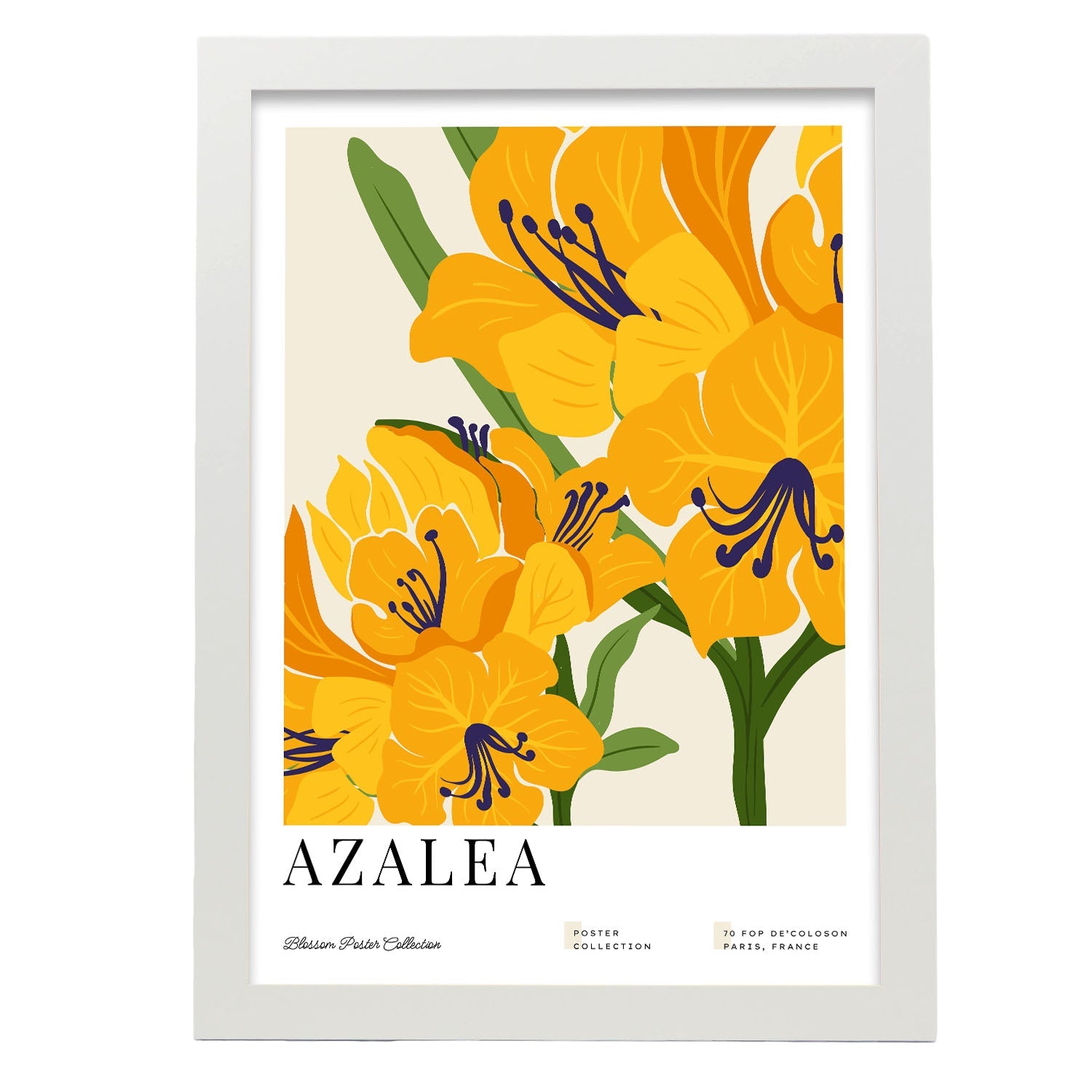 Azalea-Artwork-Nacnic-A3-Marco Blanco-Nacnic Estudio SL