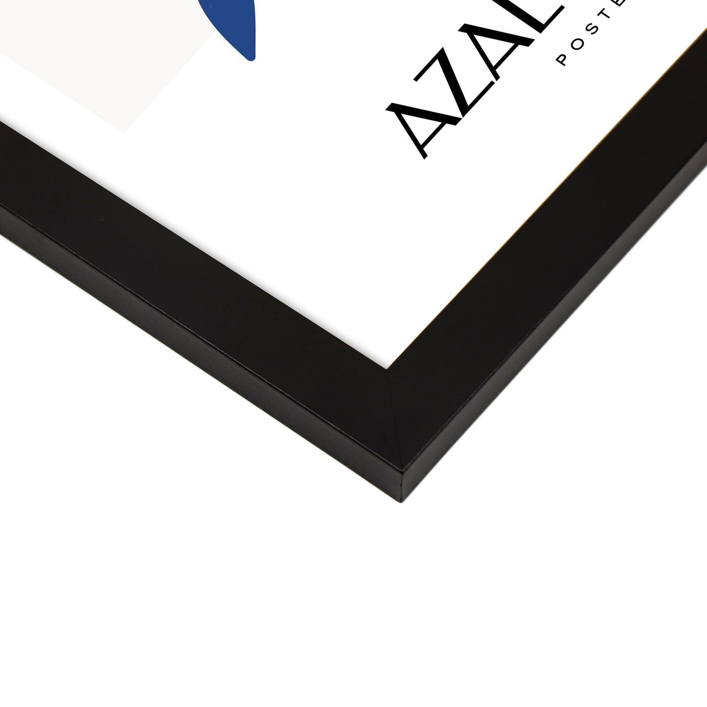 Azalea Indica-Artwork-Nacnic-Nacnic Estudio SL