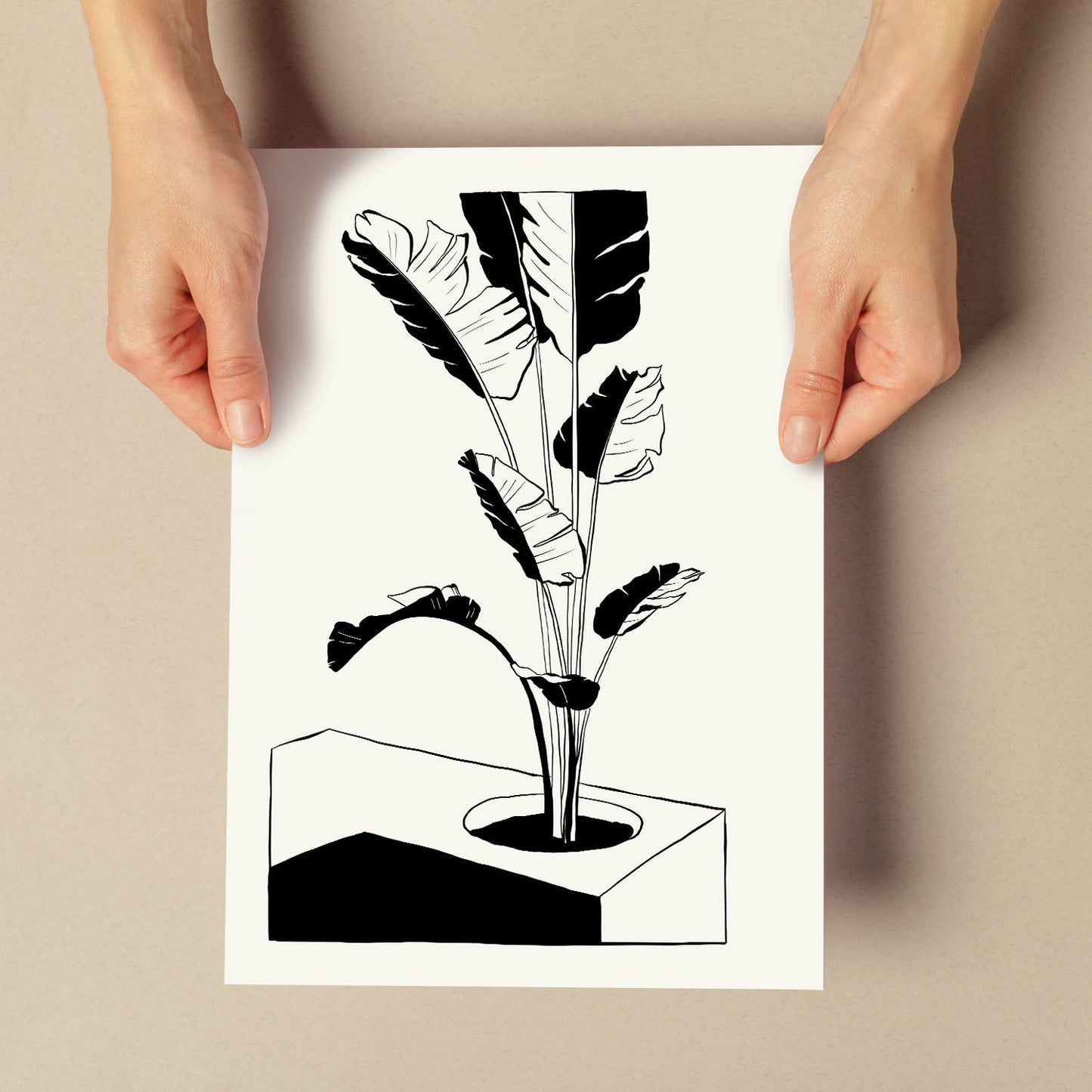 Banana Tree-Artwork-Nacnic-Nacnic Estudio SL