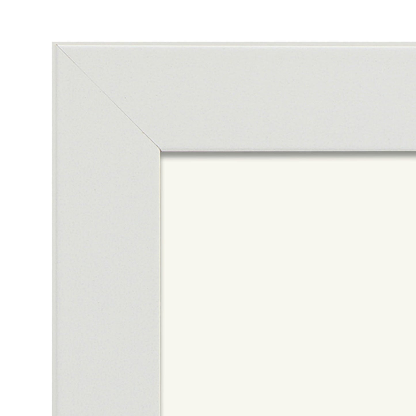 Banded Tun Shell-Artwork-Nacnic-Nacnic Estudio SL