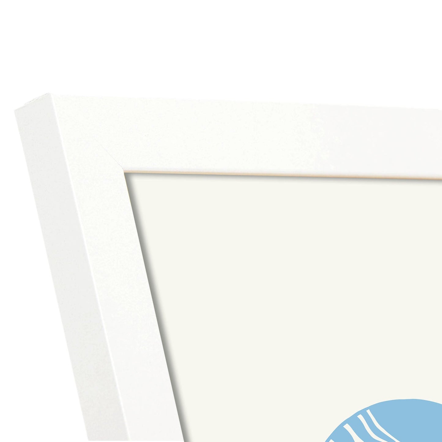 Banded Tun Shell-Artwork-Nacnic-Nacnic Estudio SL
