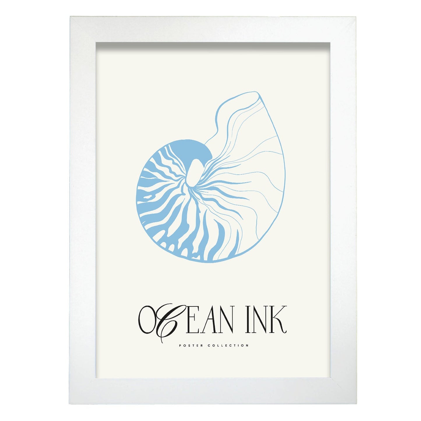 Banded Tun Shell-Artwork-Nacnic-A4-Marco Blanco-Nacnic Estudio SL