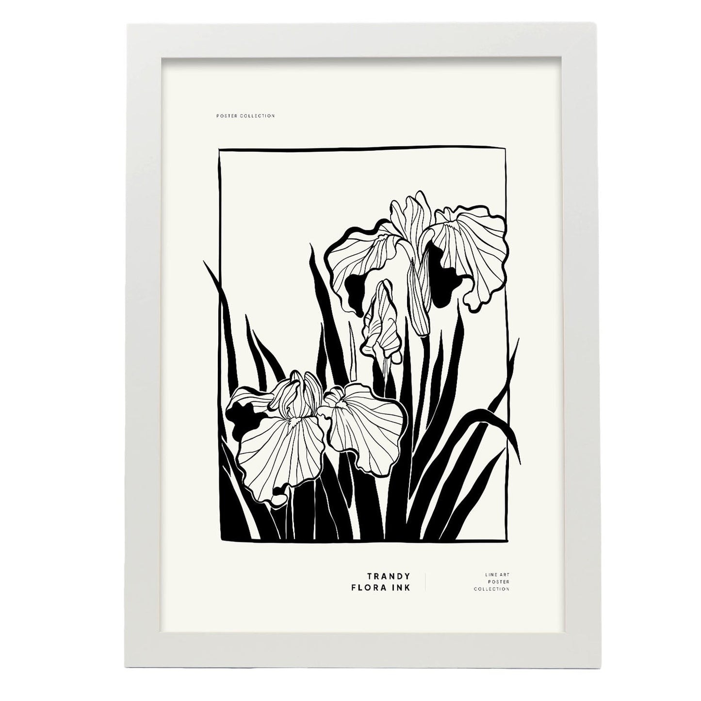 Bearded Iris-Artwork-Nacnic-A3-Marco Blanco-Nacnic Estudio SL