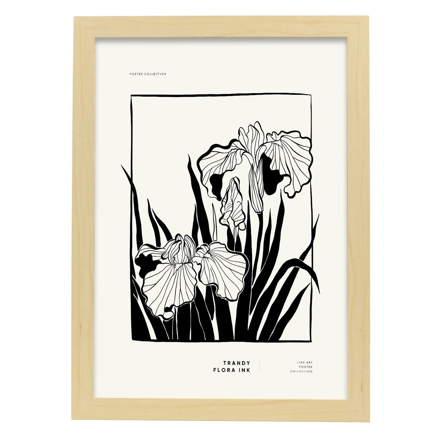 Bearded Iris-Artwork-Nacnic-A3-Marco Madera clara-Nacnic Estudio SL