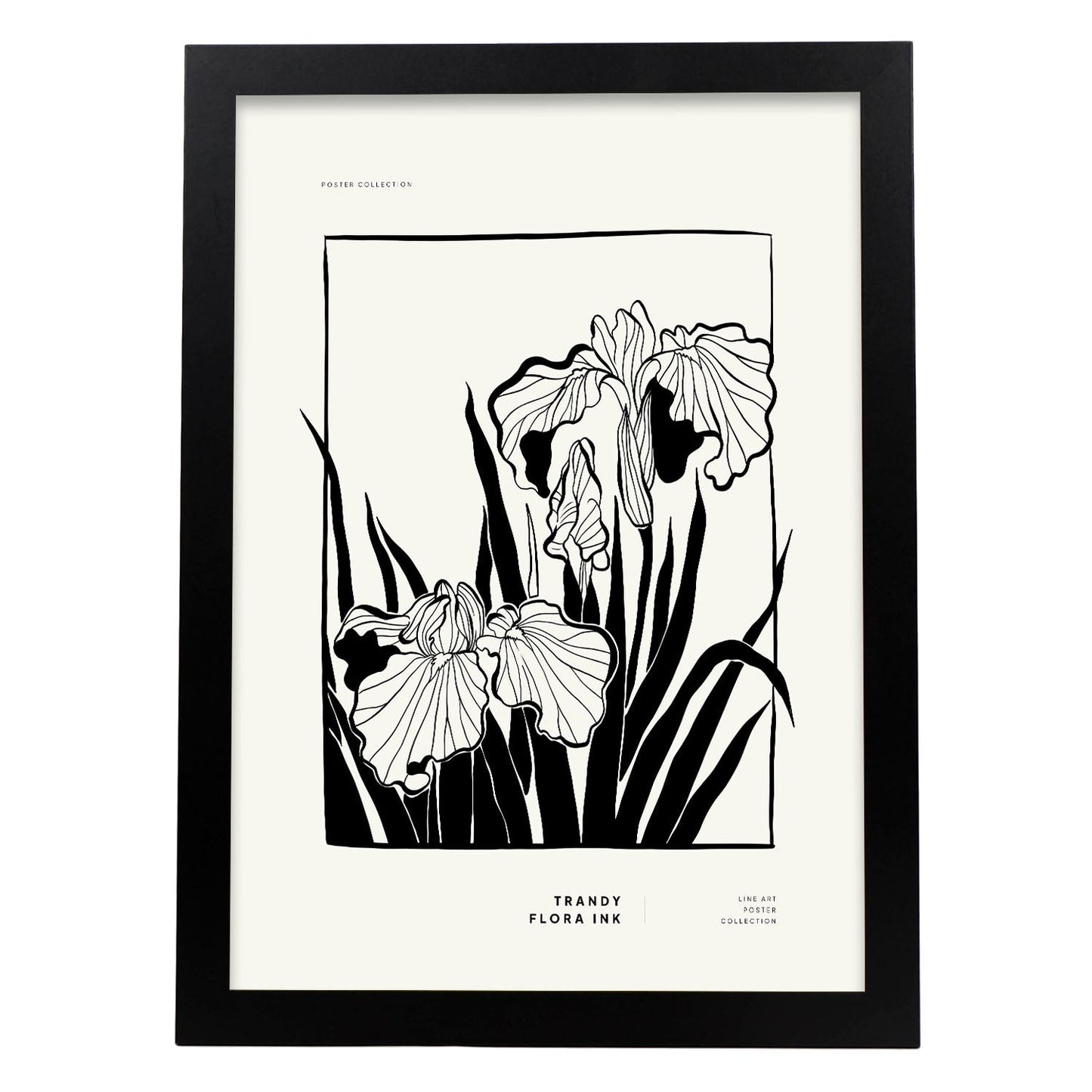 Bearded Iris-Artwork-Nacnic-A3-Sin marco-Nacnic Estudio SL