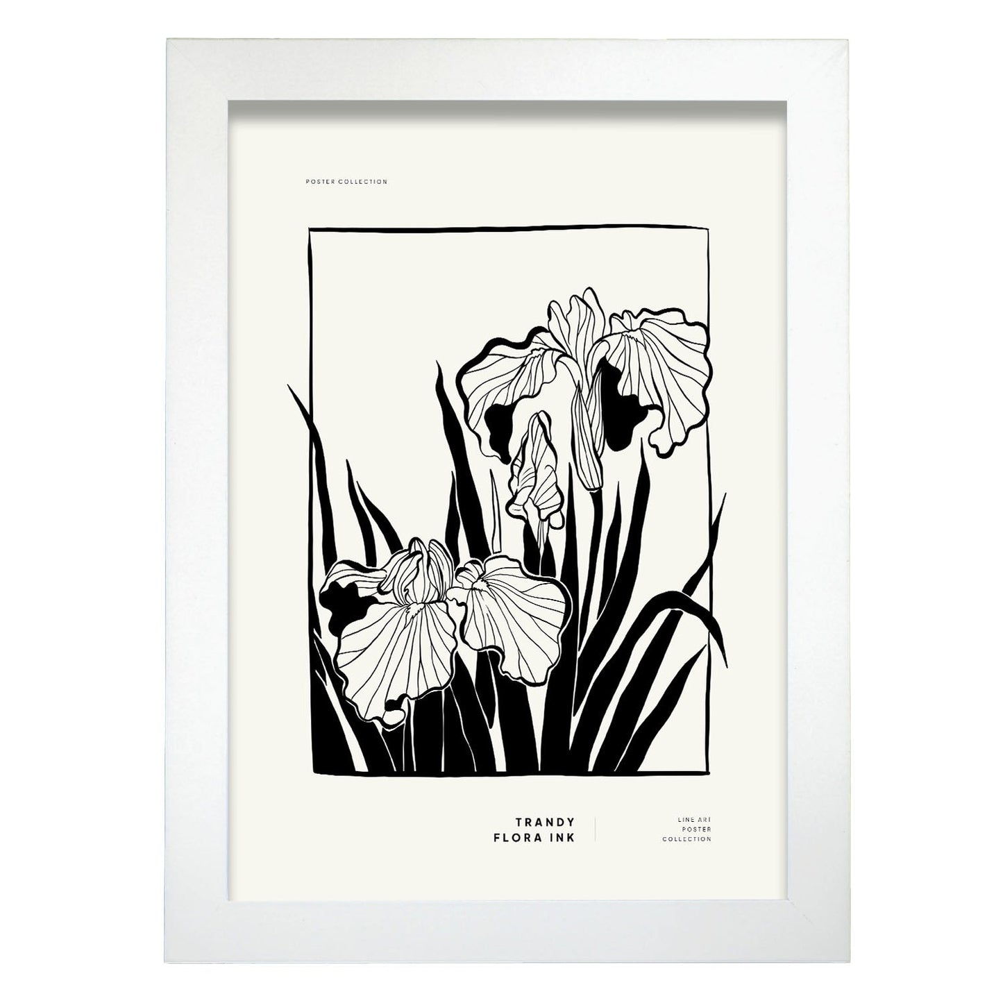 Bearded Iris-Artwork-Nacnic-A4-Marco Blanco-Nacnic Estudio SL