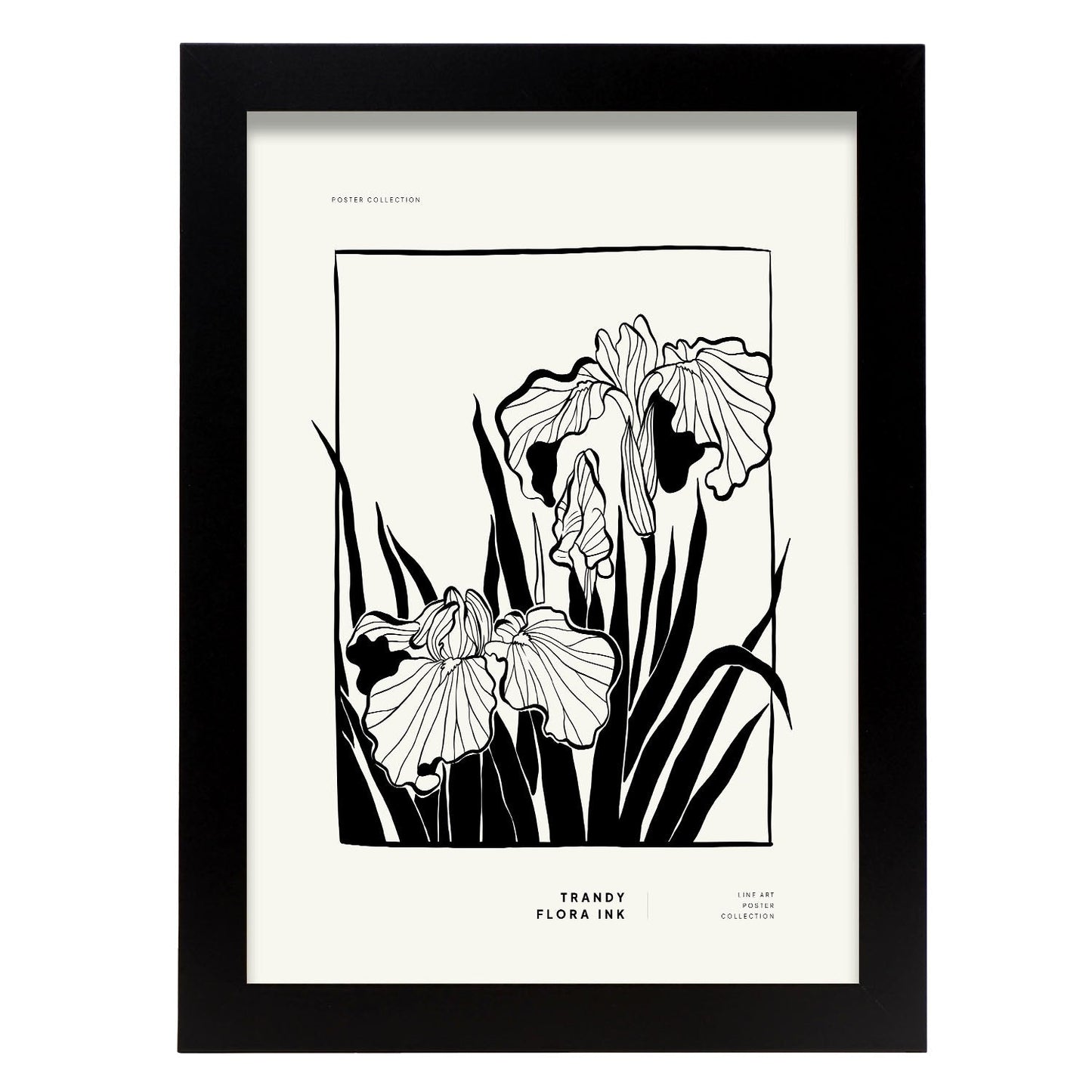 Bearded Iris-Artwork-Nacnic-A4-Sin marco-Nacnic Estudio SL