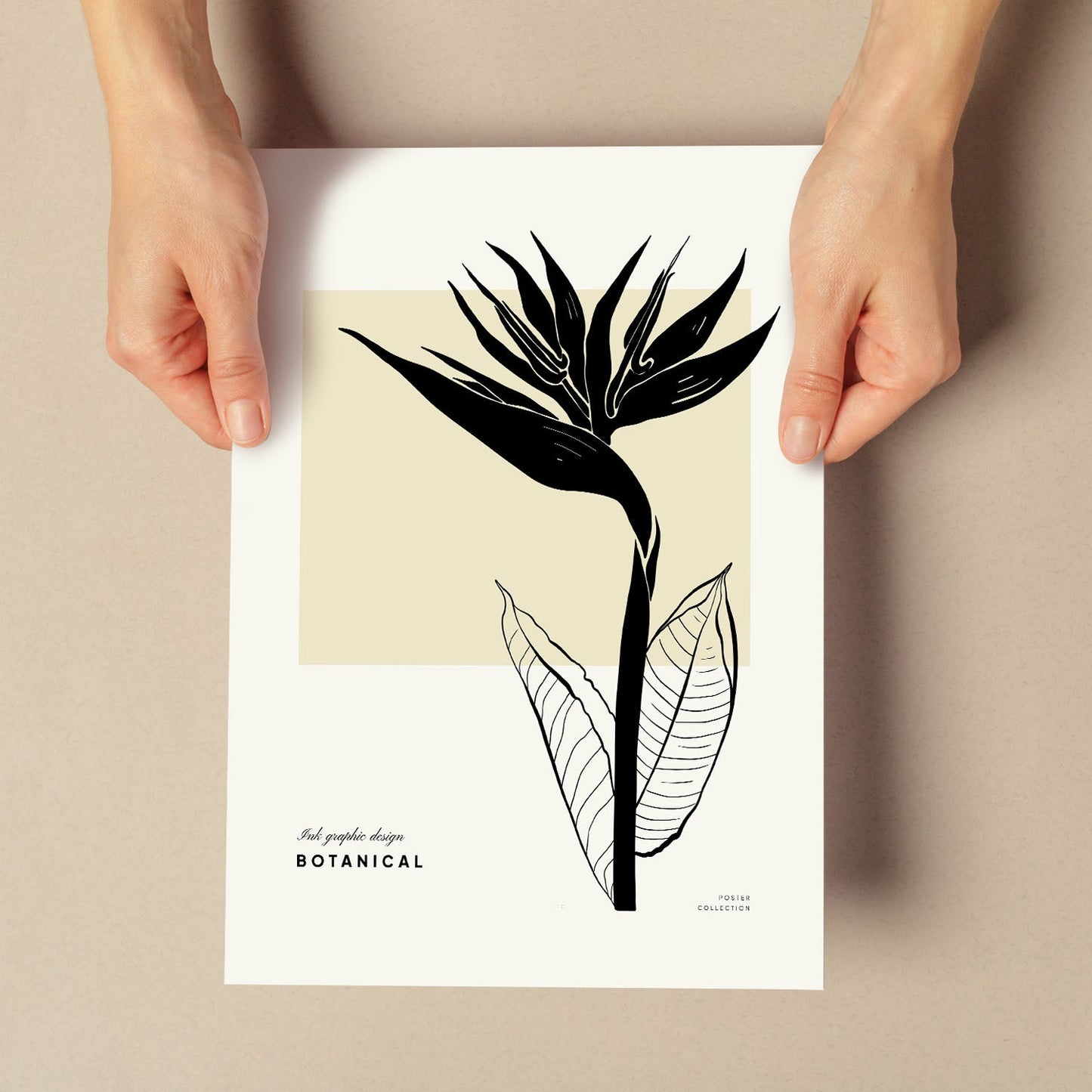 Bird of Paradise-Artwork-Nacnic-Nacnic Estudio SL