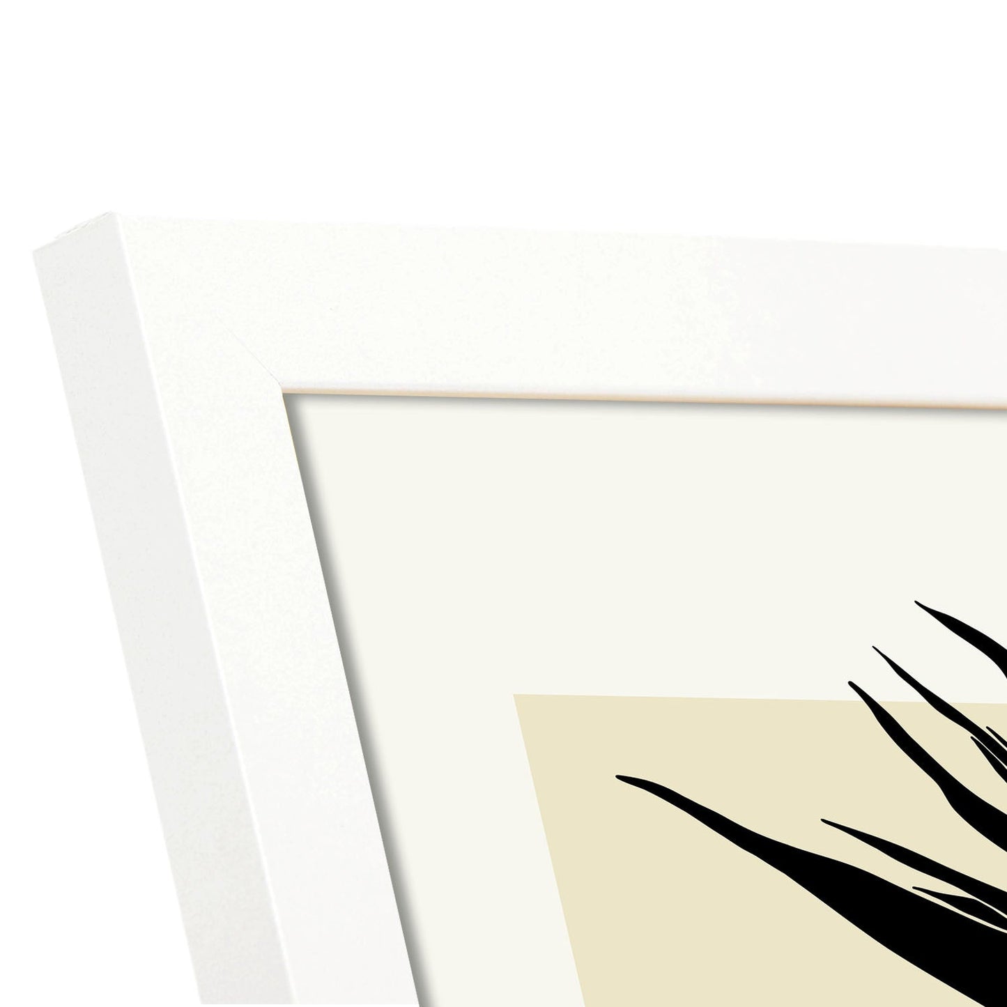 Bird of Paradise-Artwork-Nacnic-Nacnic Estudio SL
