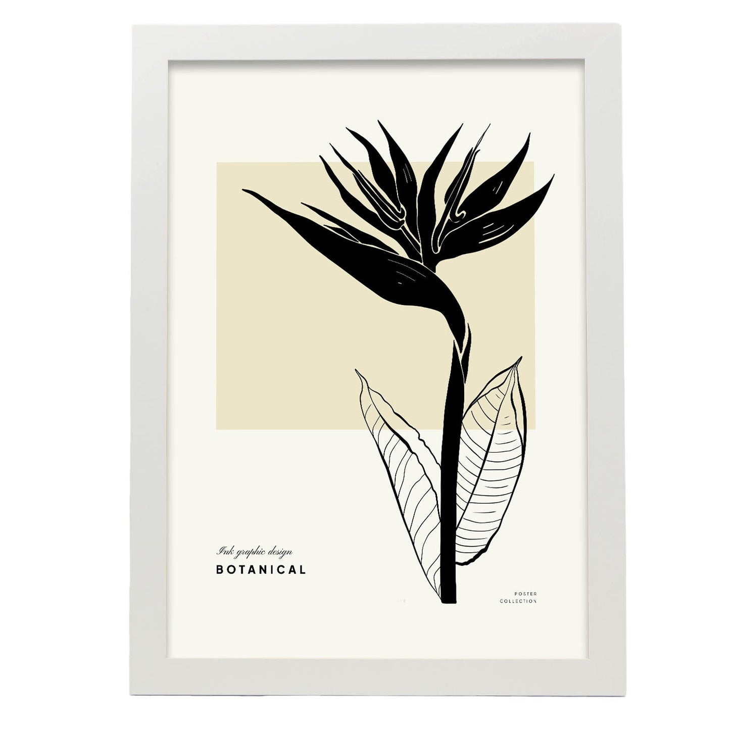 Bird of Paradise-Artwork-Nacnic-A3-Marco Blanco-Nacnic Estudio SL