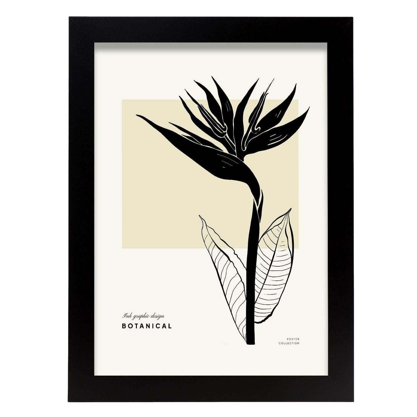 Bird of Paradise-Artwork-Nacnic-A4-Sin marco-Nacnic Estudio SL