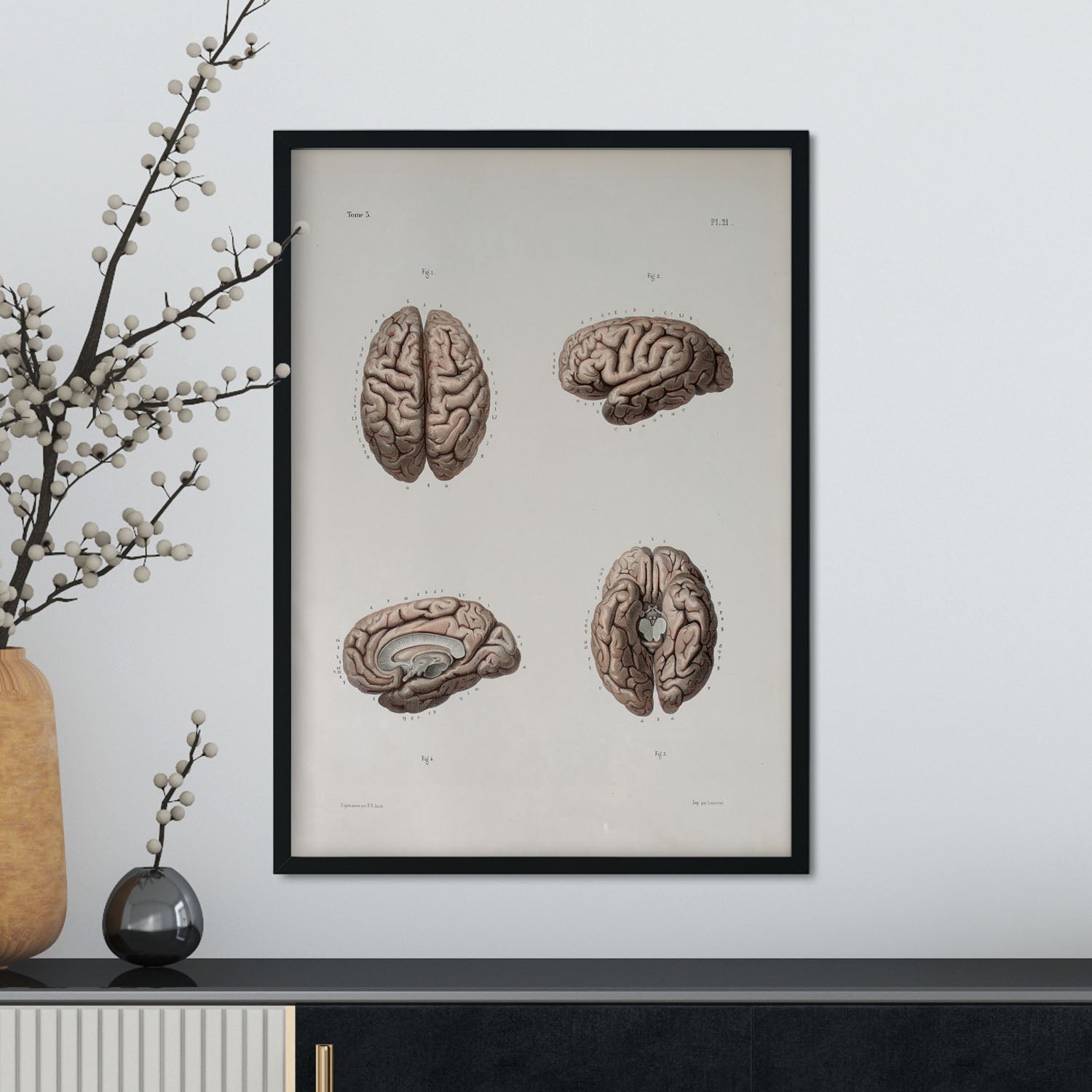 Brain-Artwork-Nacnic-Nacnic Estudio SL