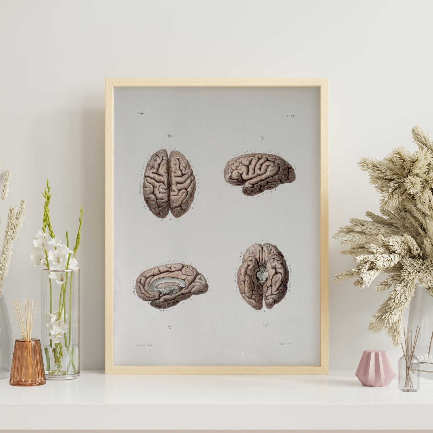 Brain-Artwork-Nacnic-Nacnic Estudio SL