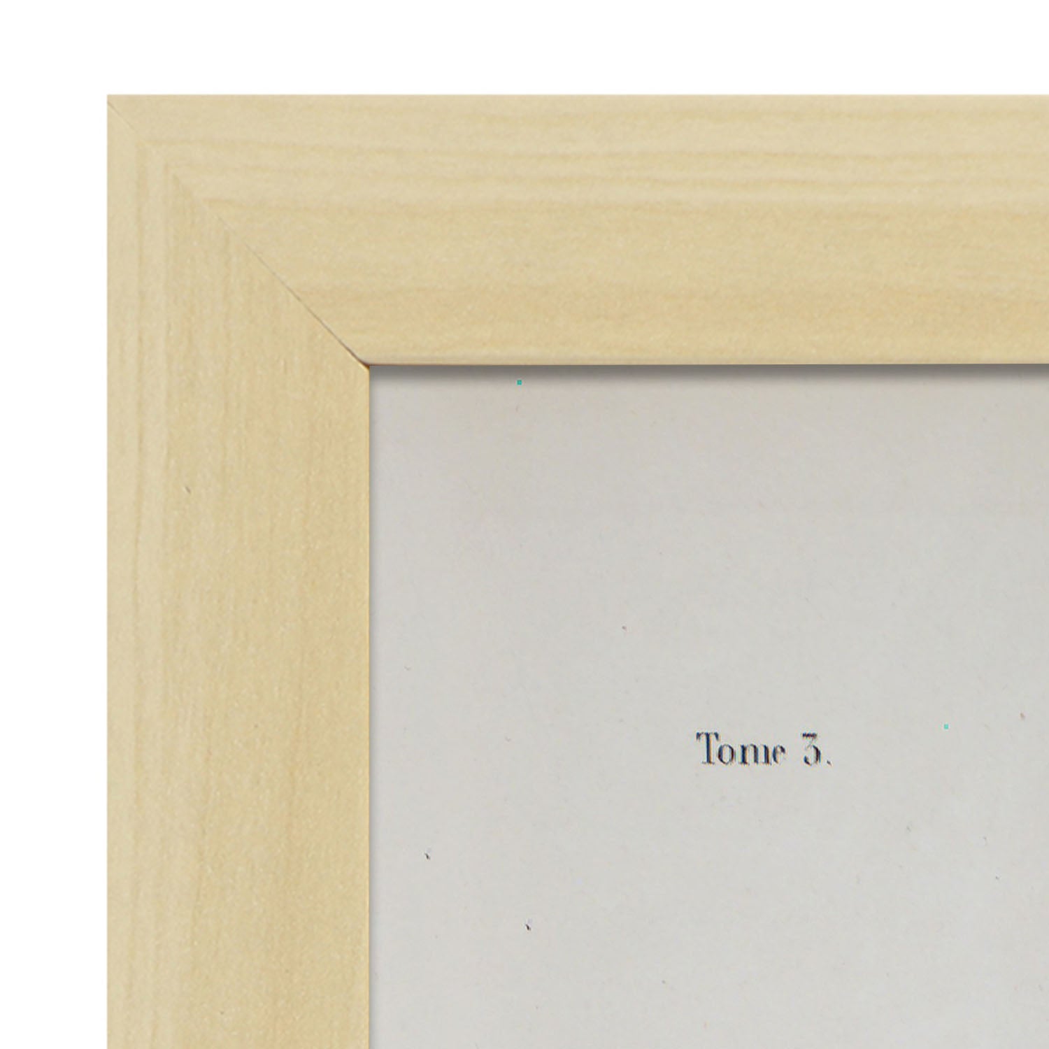 Brain-Artwork-Nacnic-Nacnic Estudio SL