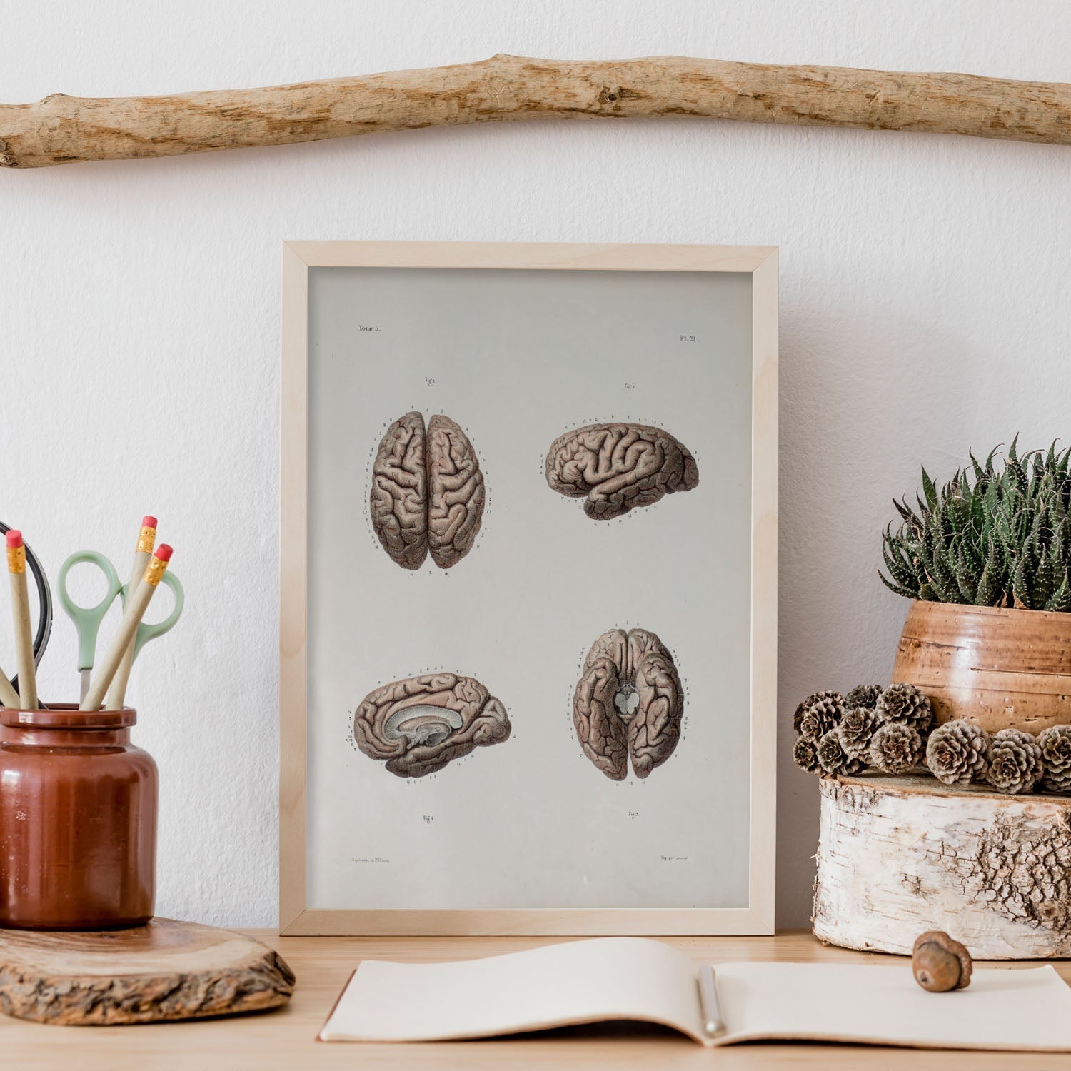 Brain-Artwork-Nacnic-Nacnic Estudio SL