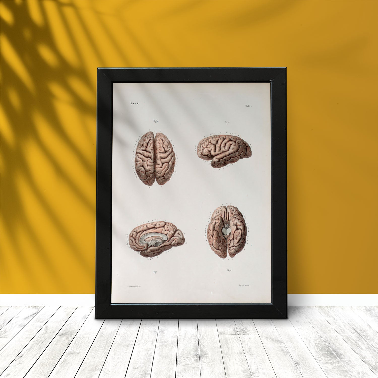 Brain-Artwork-Nacnic-Nacnic Estudio SL