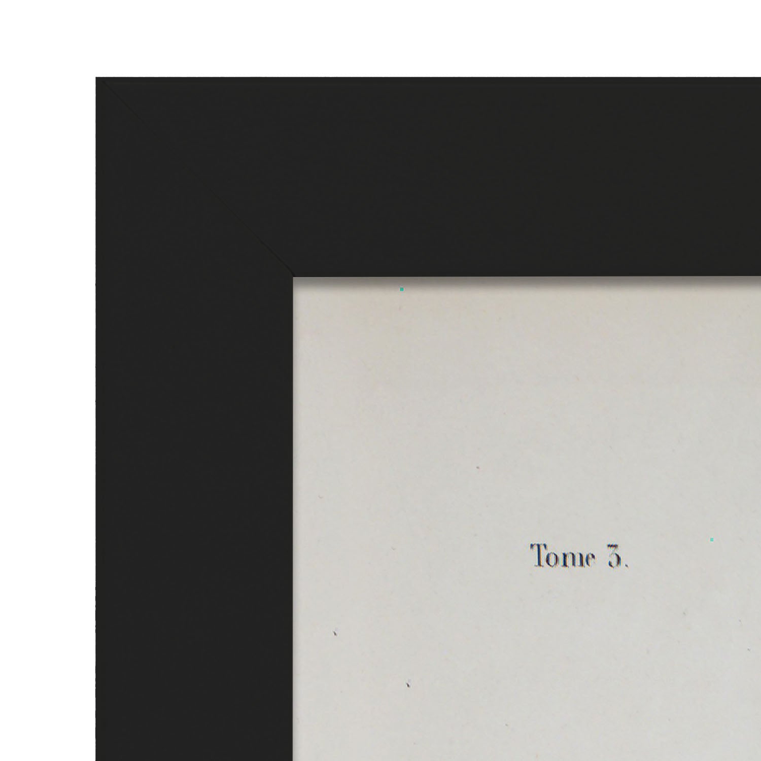 Brain-Artwork-Nacnic-Nacnic Estudio SL