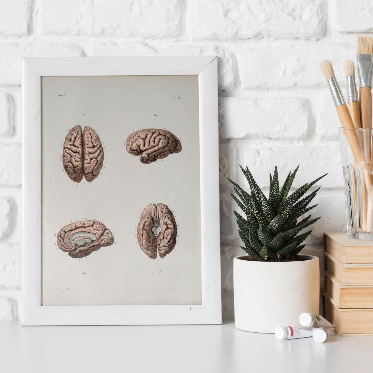 Brain-Artwork-Nacnic-Nacnic Estudio SL