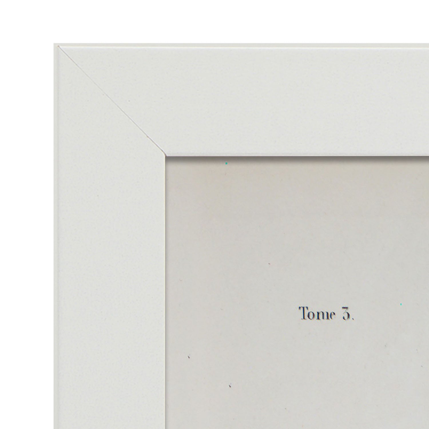 Brain-Artwork-Nacnic-Nacnic Estudio SL