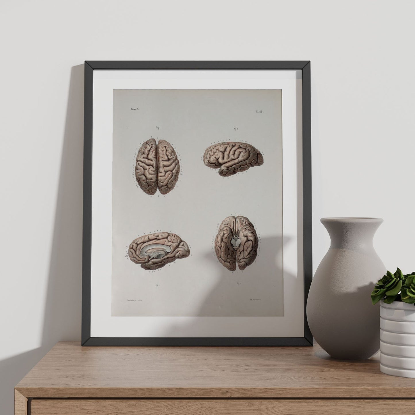 Brain-Artwork-Nacnic-Nacnic Estudio SL