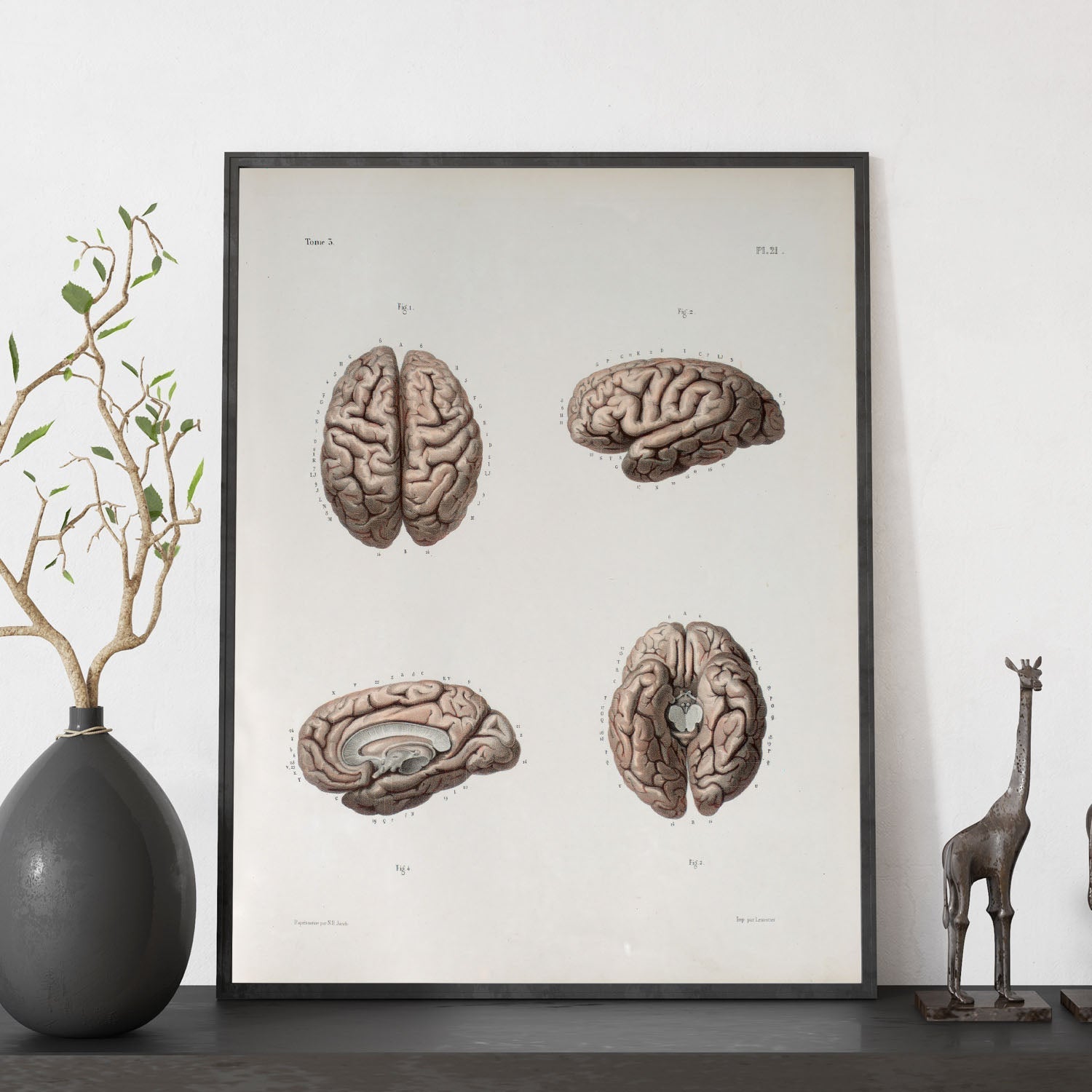 Brain-Artwork-Nacnic-Nacnic Estudio SL