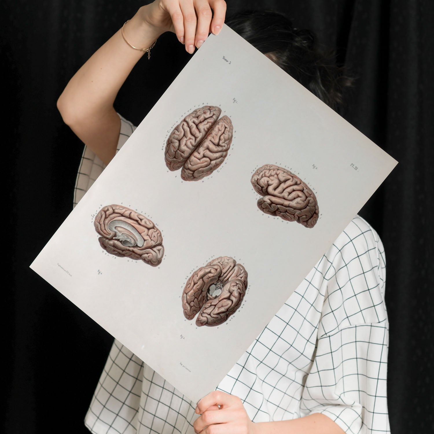 Brain-Artwork-Nacnic-Nacnic Estudio SL