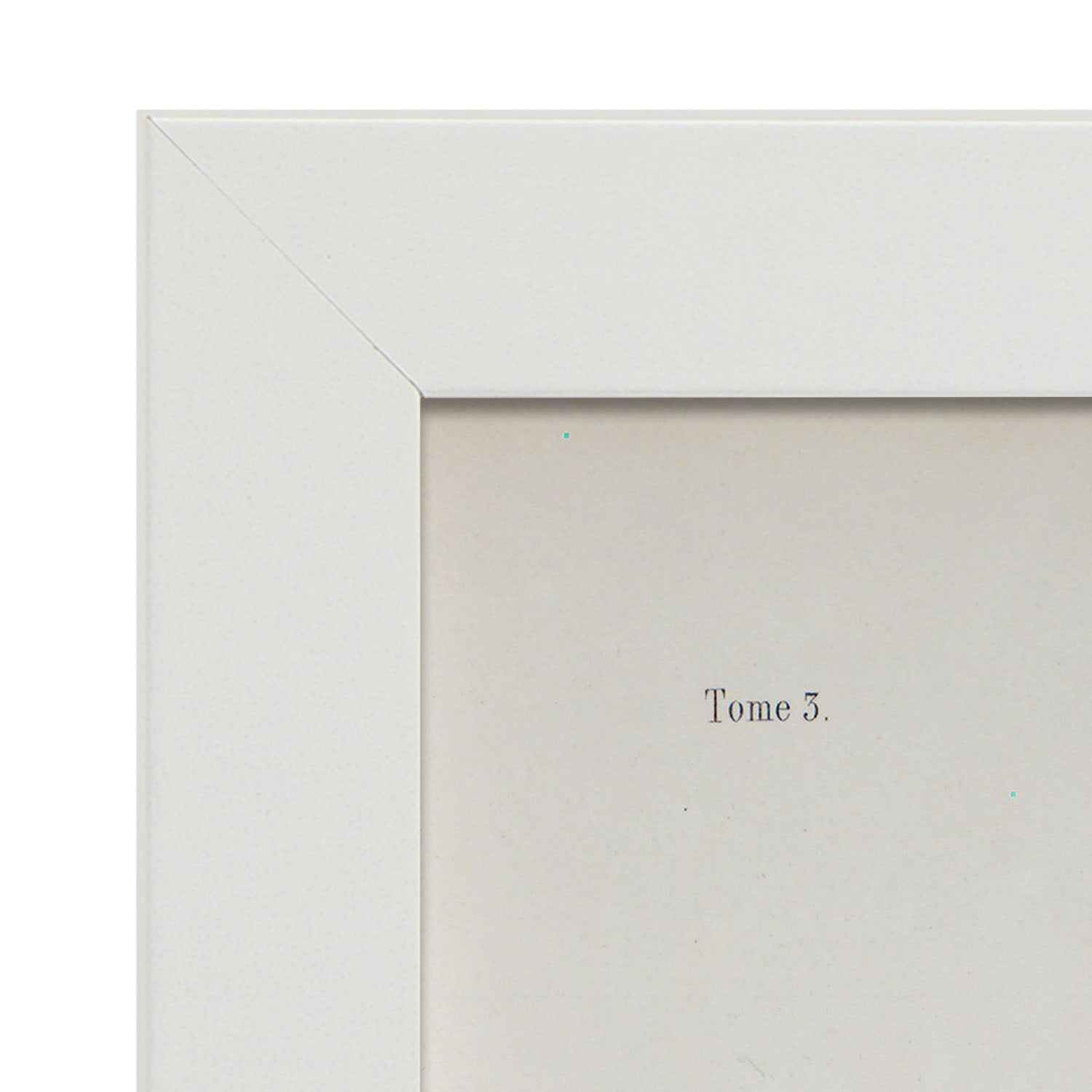 Brain divided in parasagital section-Artwork-Nacnic-Nacnic Estudio SL