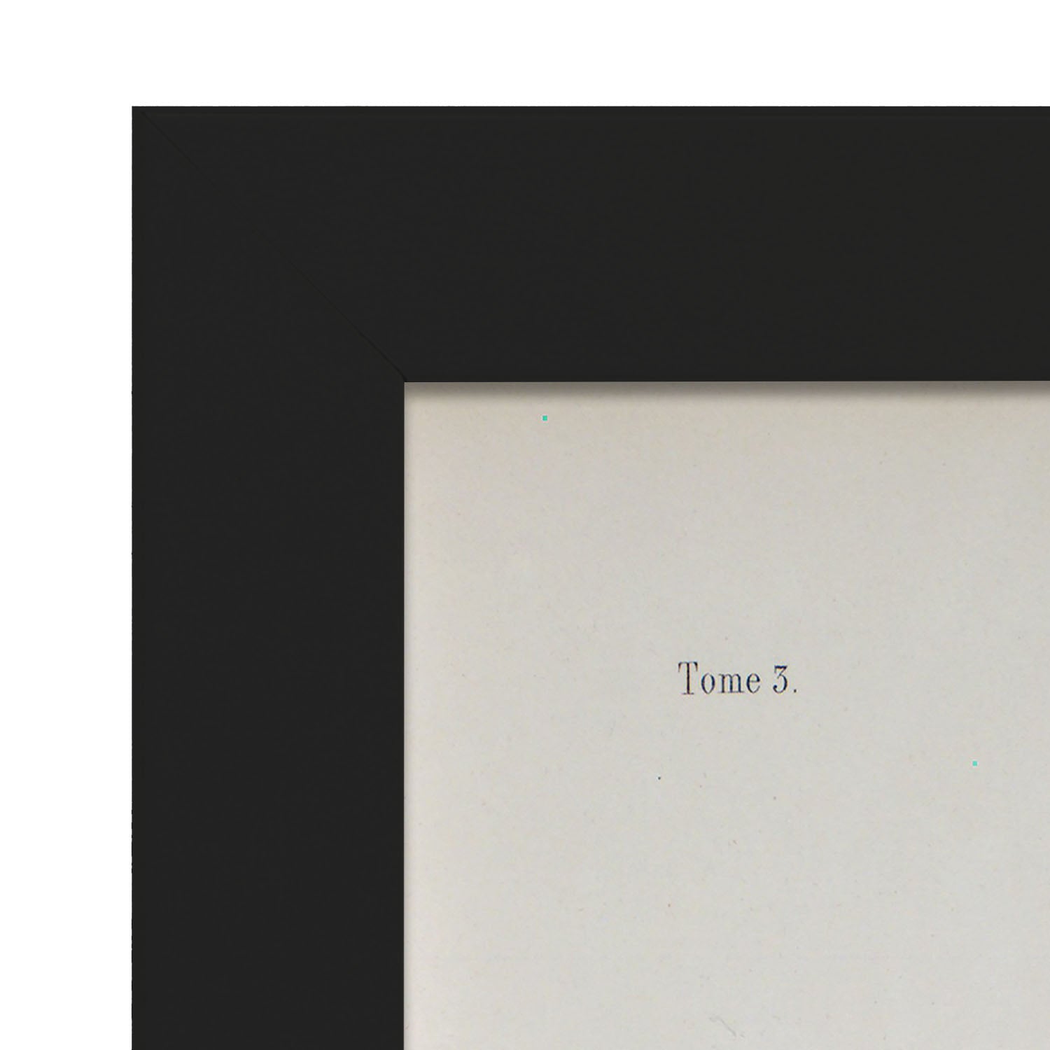 Brain divided in parasagital section-Artwork-Nacnic-Nacnic Estudio SL