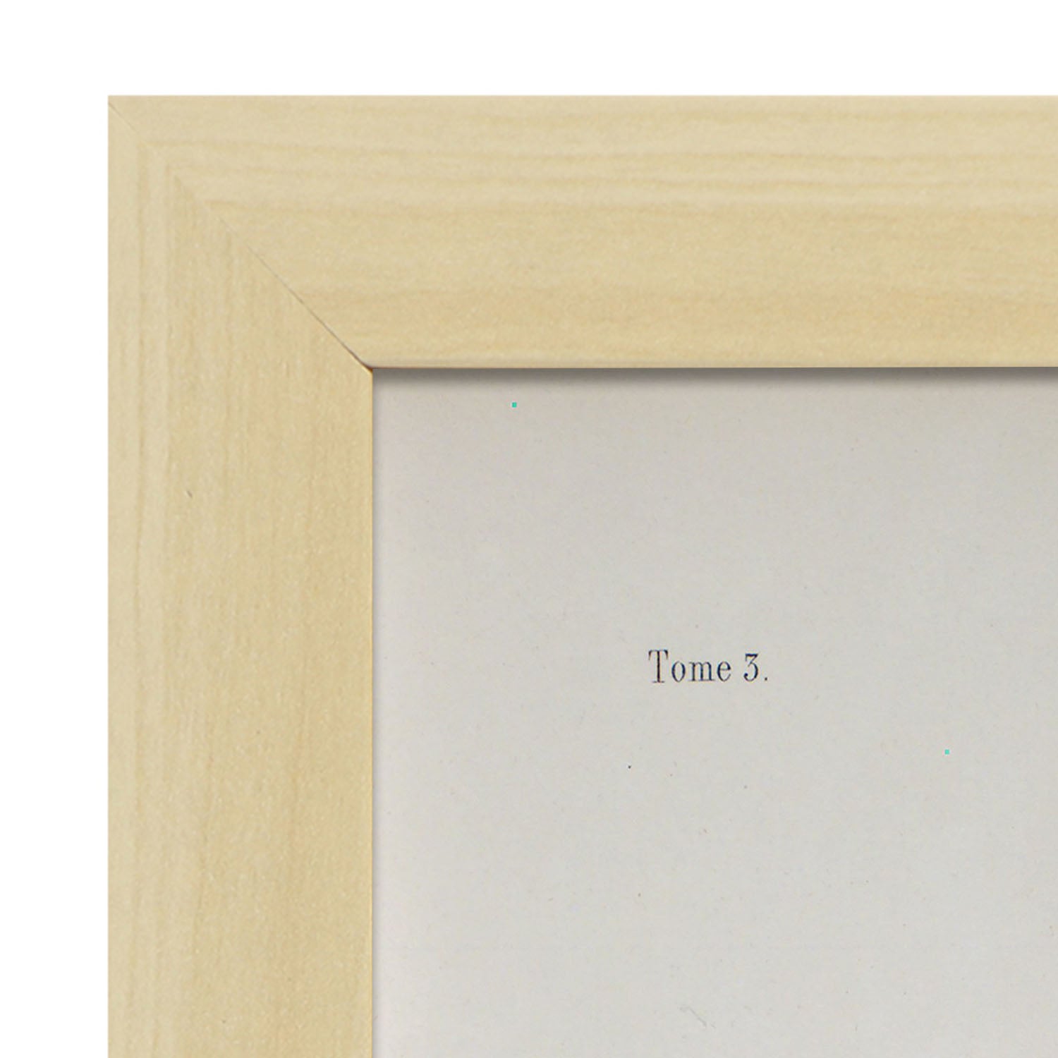 Brain divided in parasagital section-Artwork-Nacnic-Nacnic Estudio SL