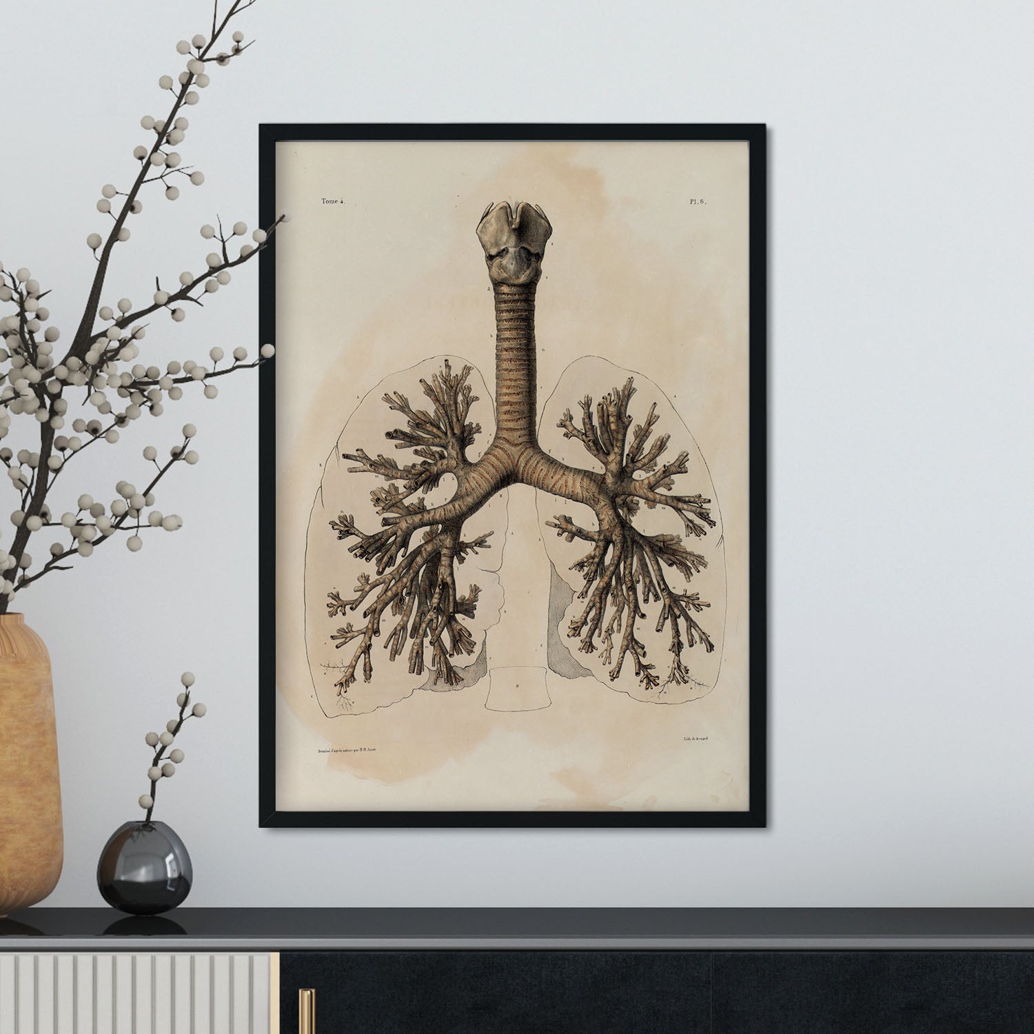 Bronchi, trachea, laryngeal cartilages-Artwork-Nacnic-Nacnic Estudio SL
