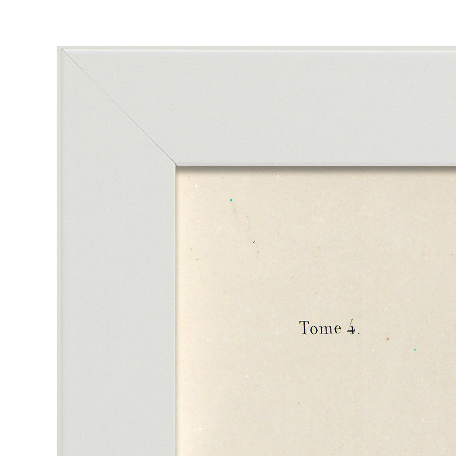 Bronchi, trachea, laryngeal cartilages-Artwork-Nacnic-Nacnic Estudio SL